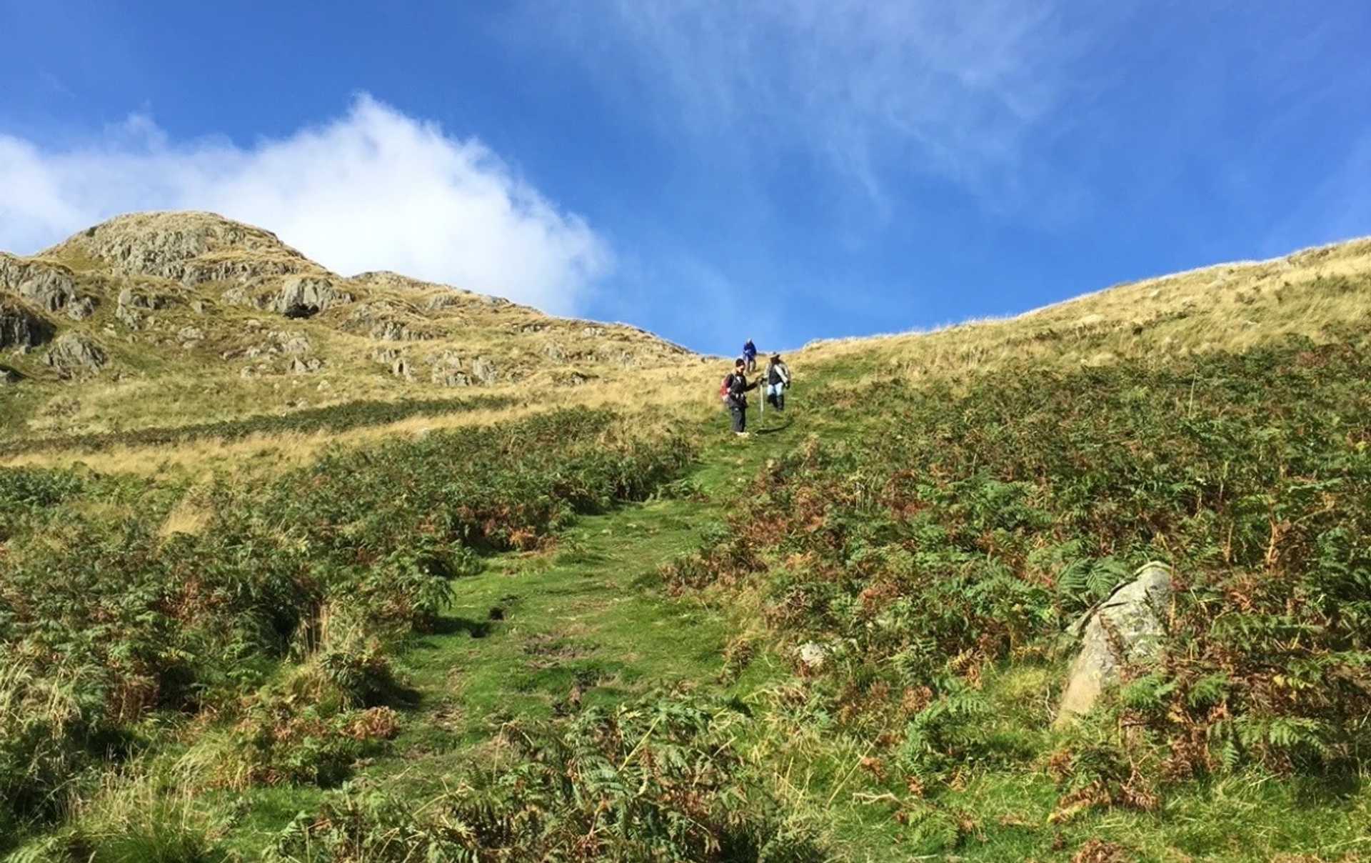Walkers climbing a hillside path on the Coast to Coast Walk in the Lake District