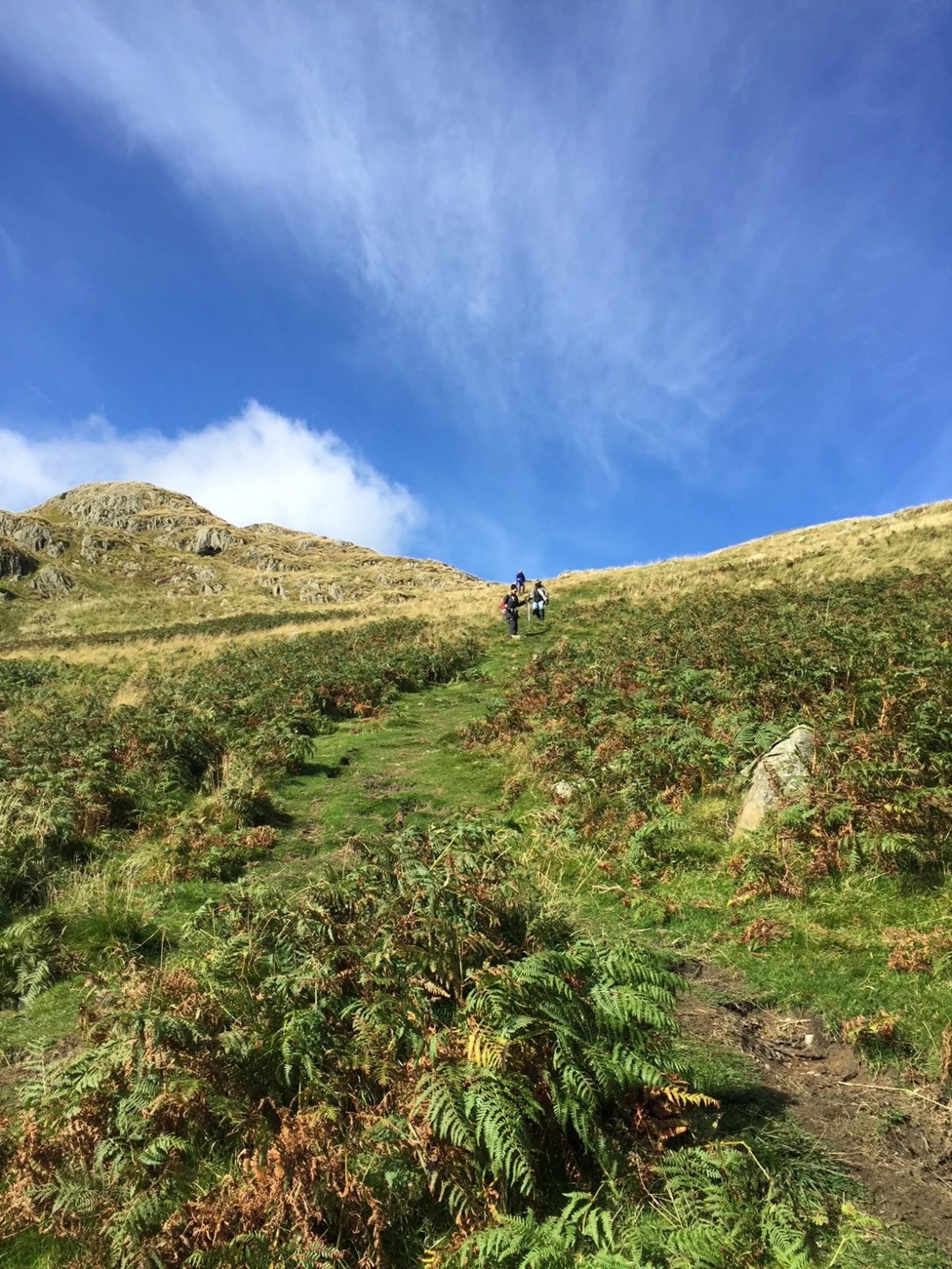 Walkers climbing a hillside path on the Coast to Coast Walk in the Lake District