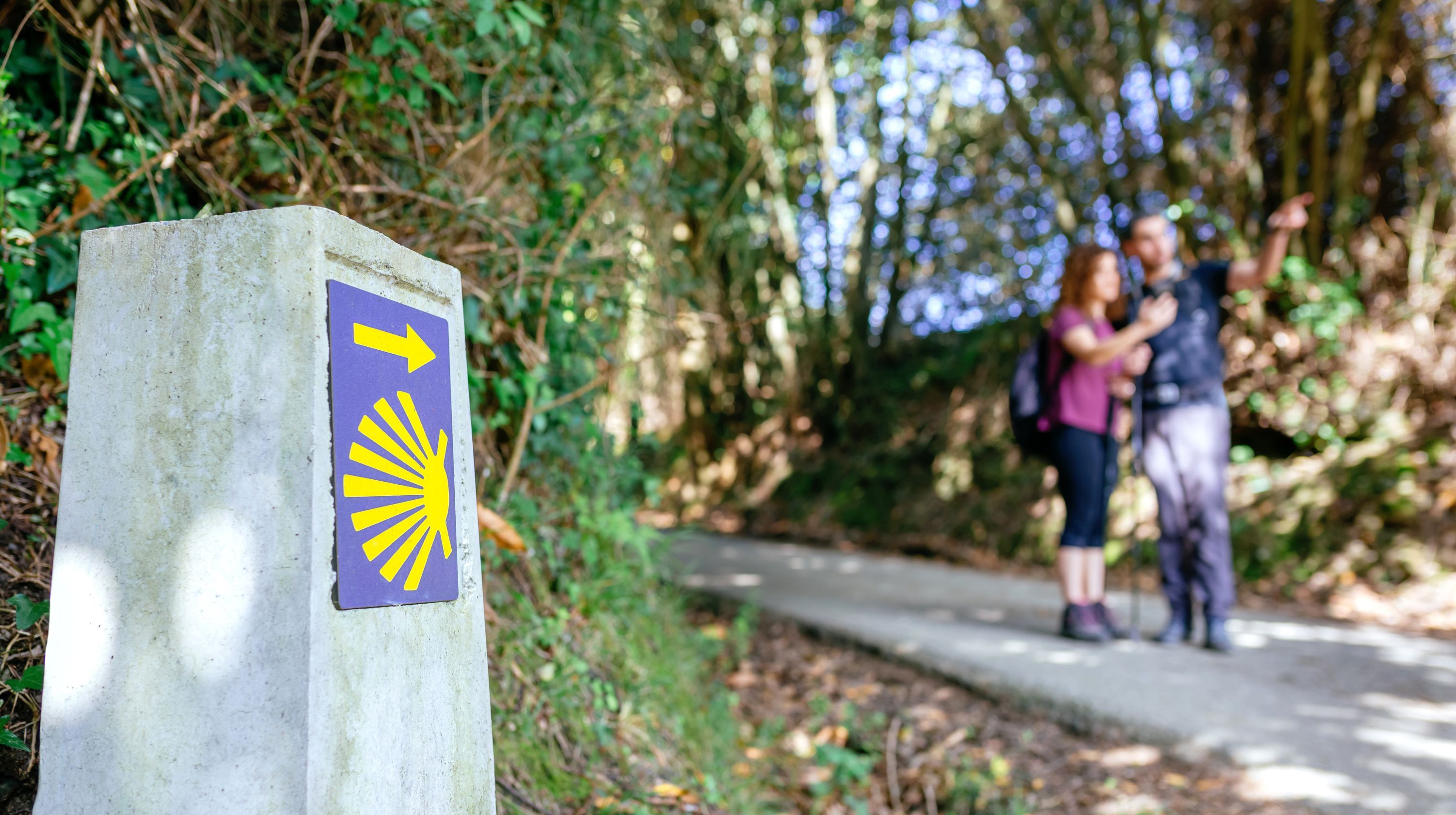 A stone marker with a yellow scallop shell and arrow on a purple background stands on a path, with two hikers in the blurred background pointing the way.