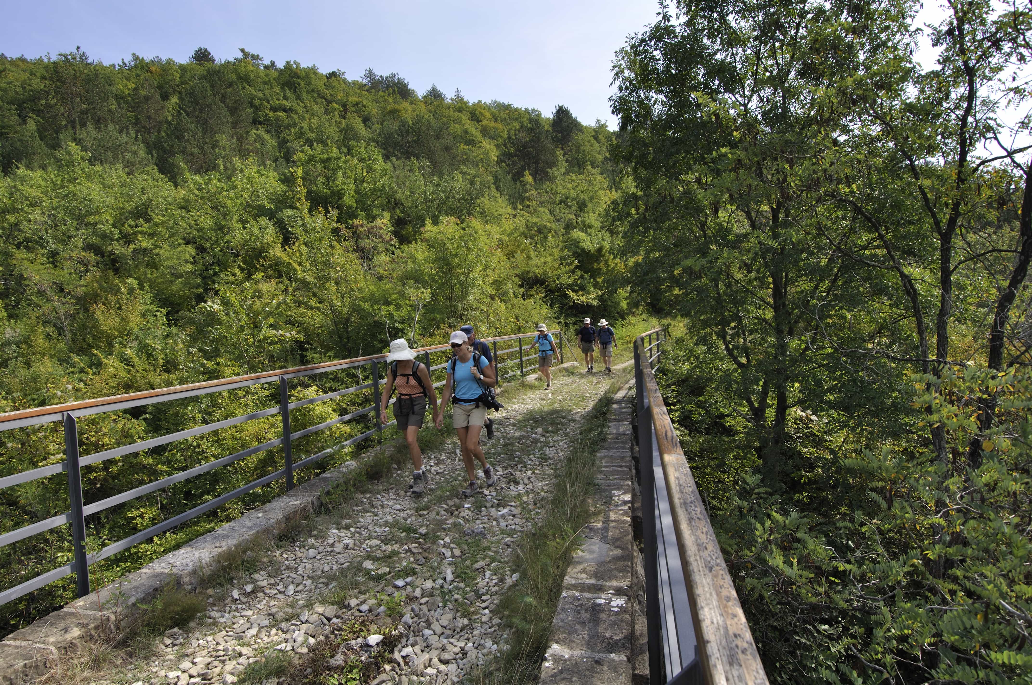 Walking Adventure Through Green Istria