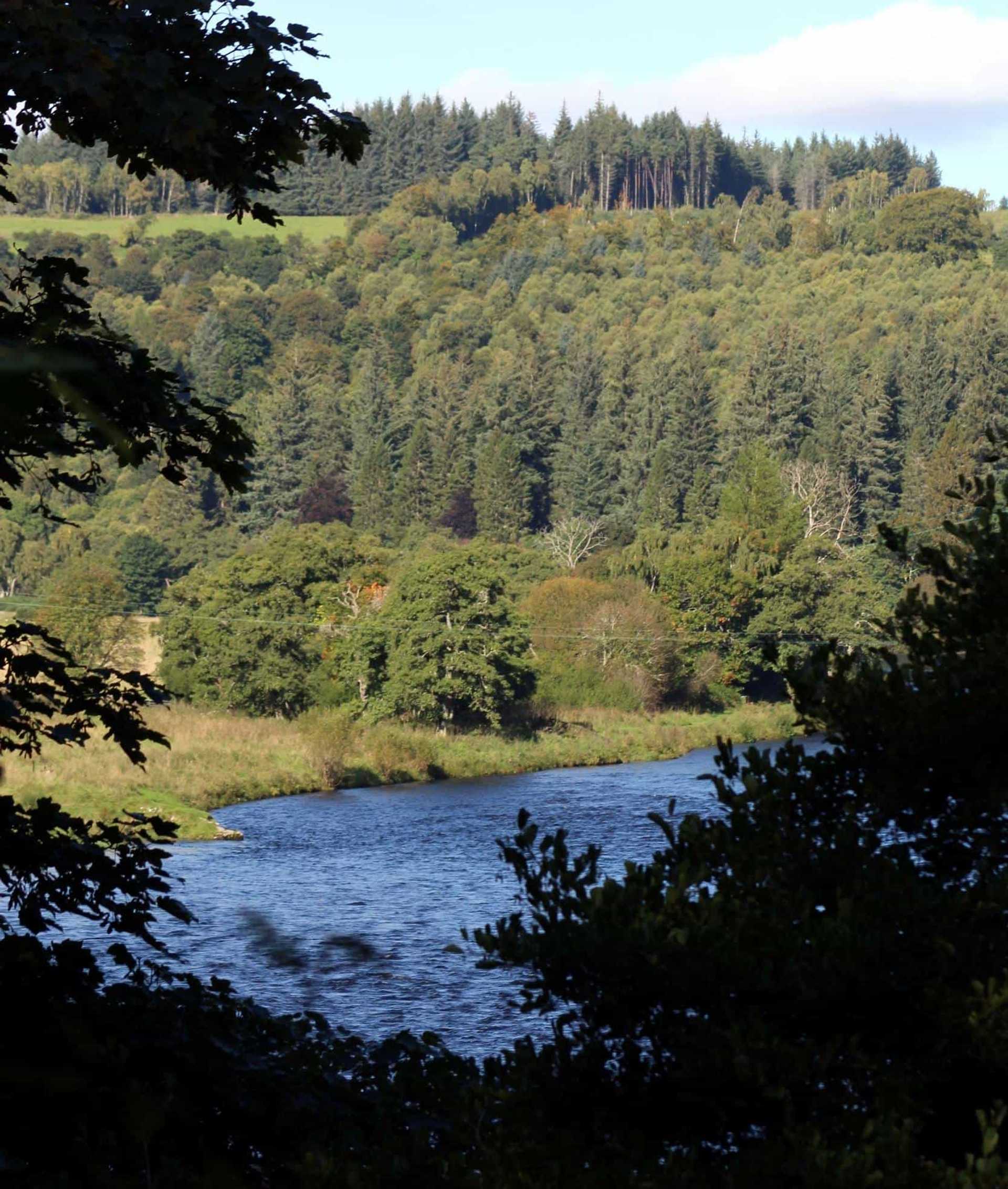 Walking Holidays Speyside Way