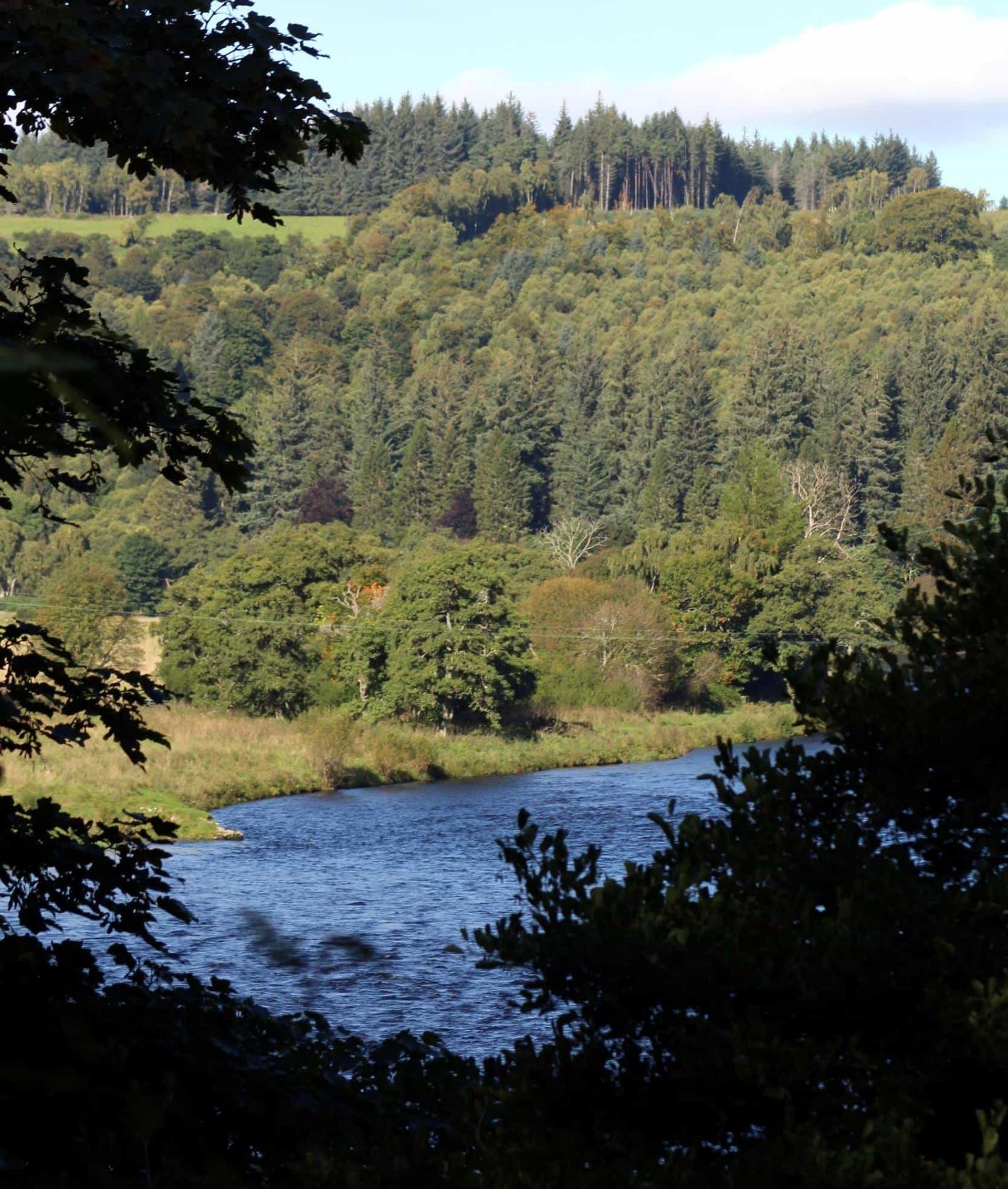 Walking Holidays Speyside Way