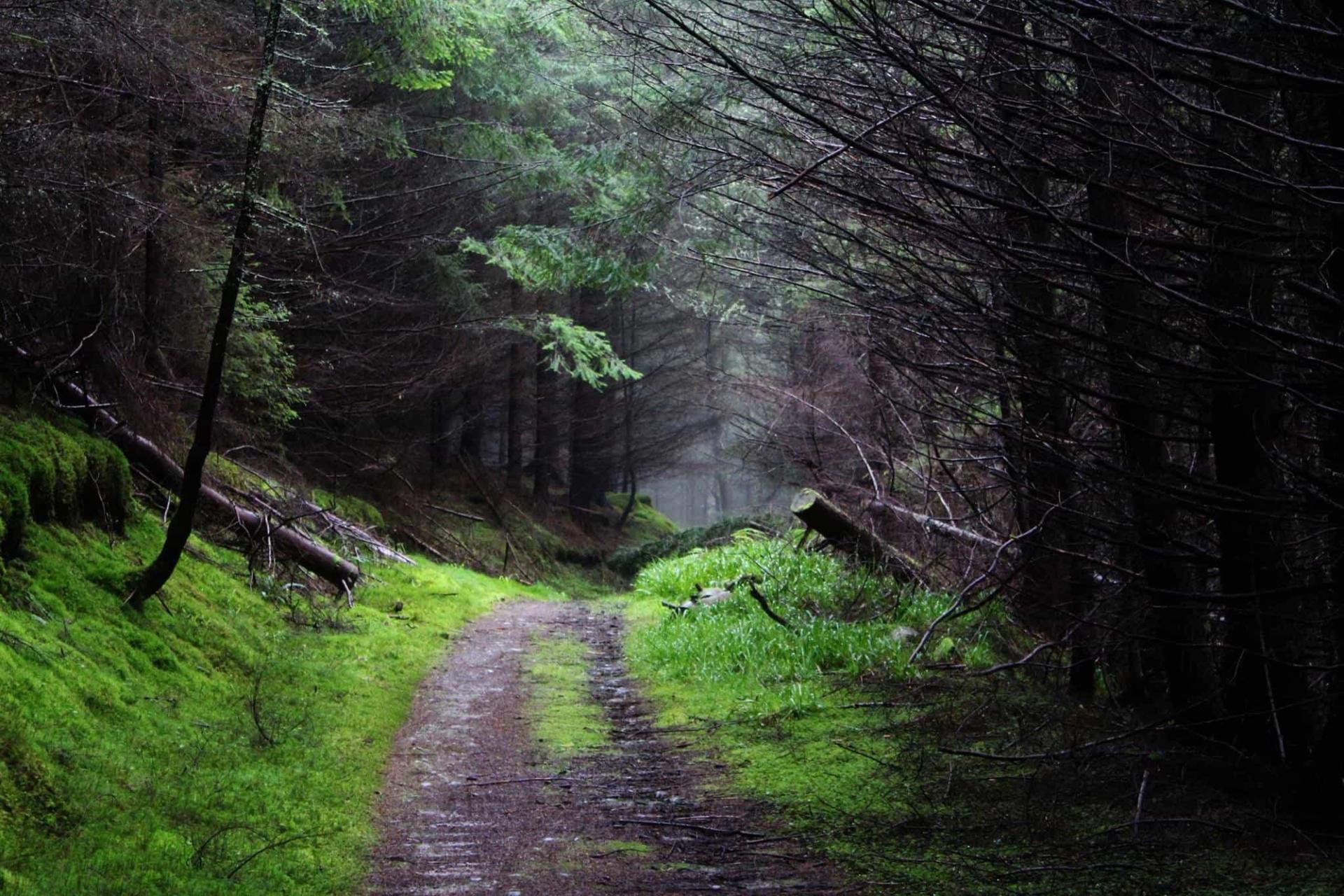 Fochabers and Craigellachie