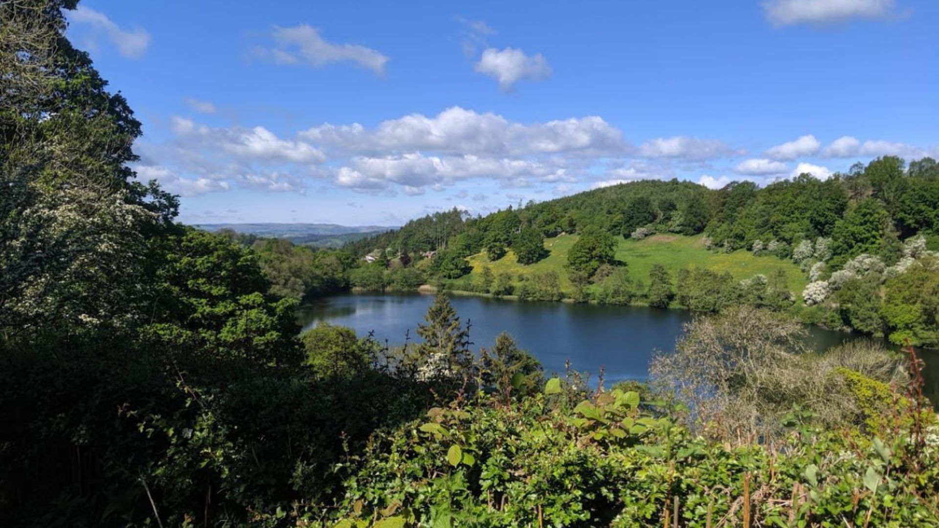 Summers day along Glyndwr's Way