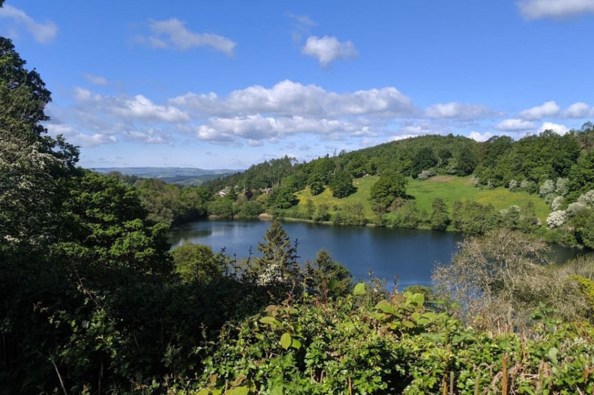 Summers day along Glyndwr's Way