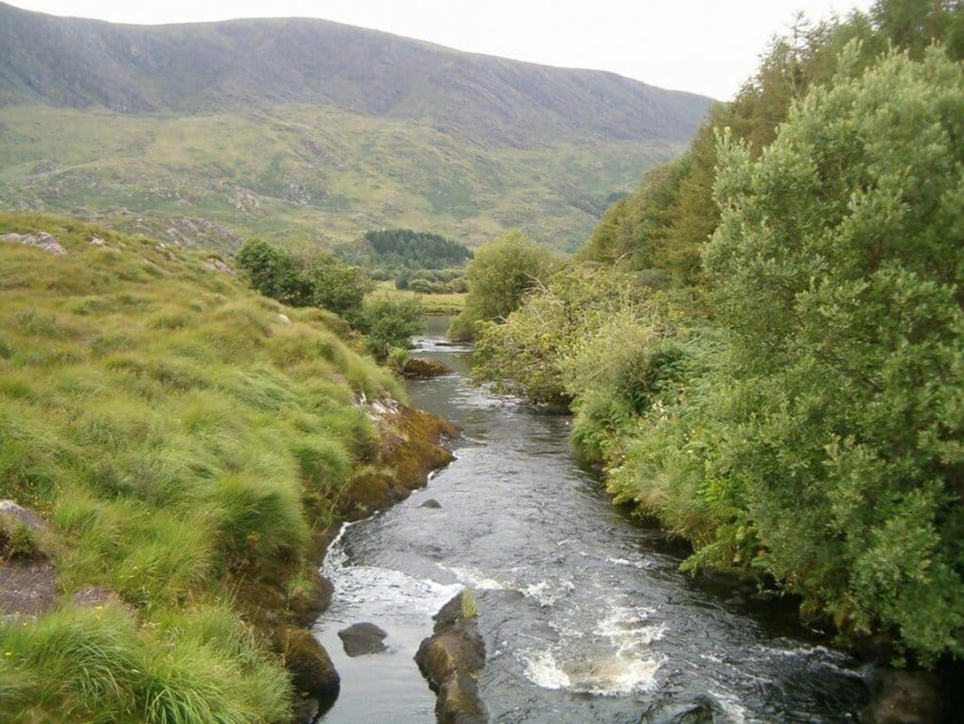 Capall River Kerry Way