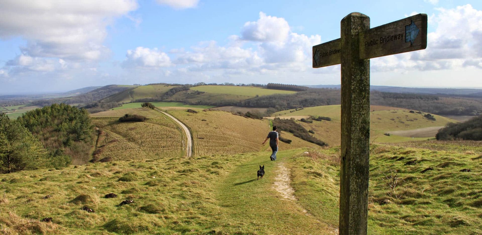 South Downs Way