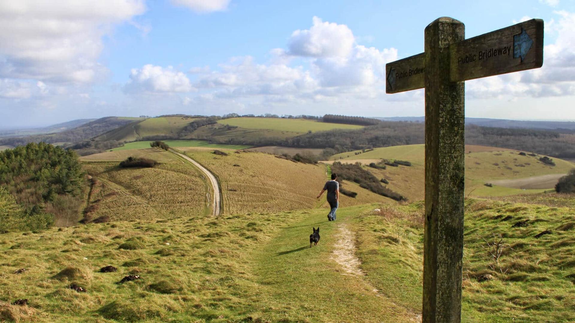 South Downs Way