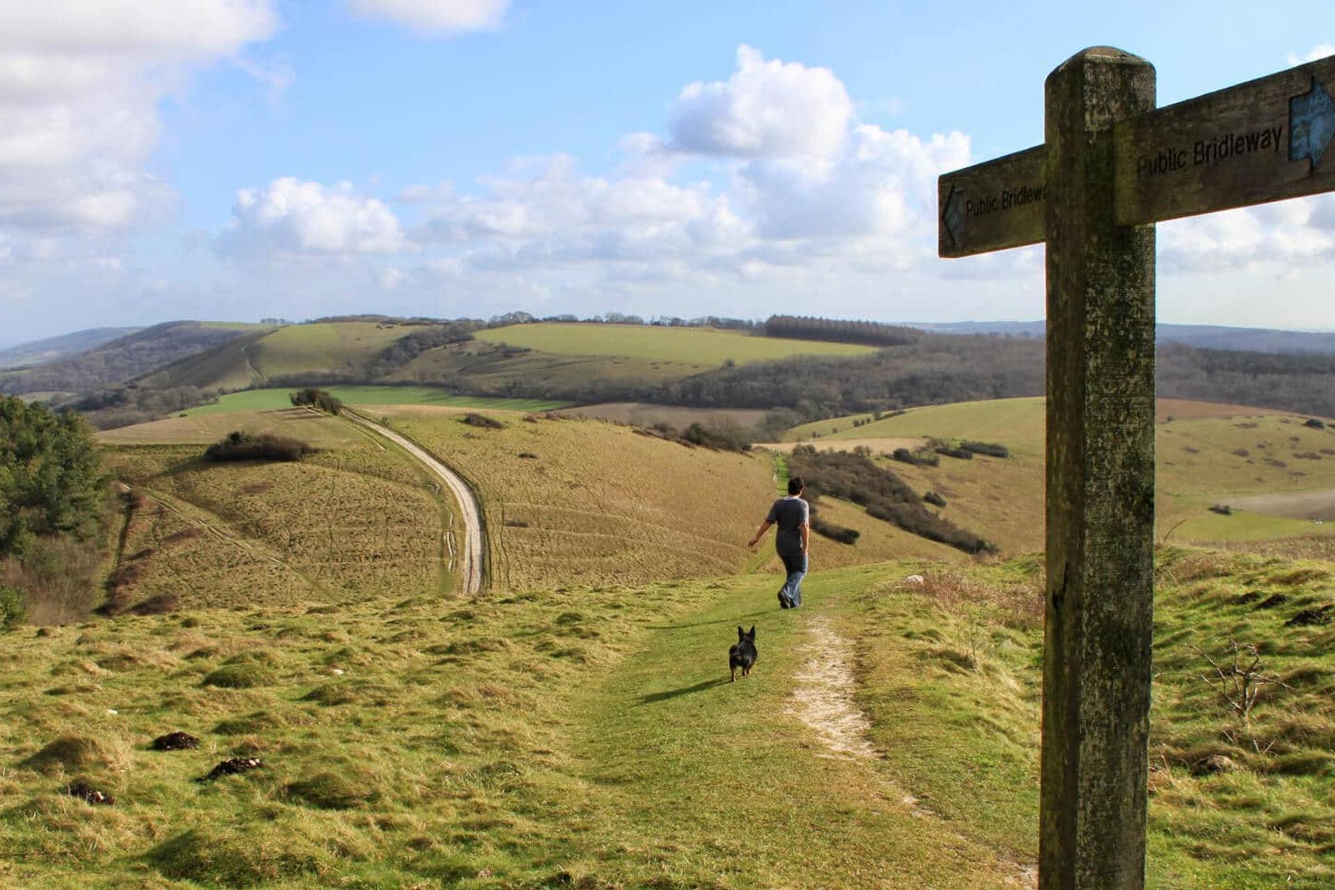 National Trails signpost at South Downs Way