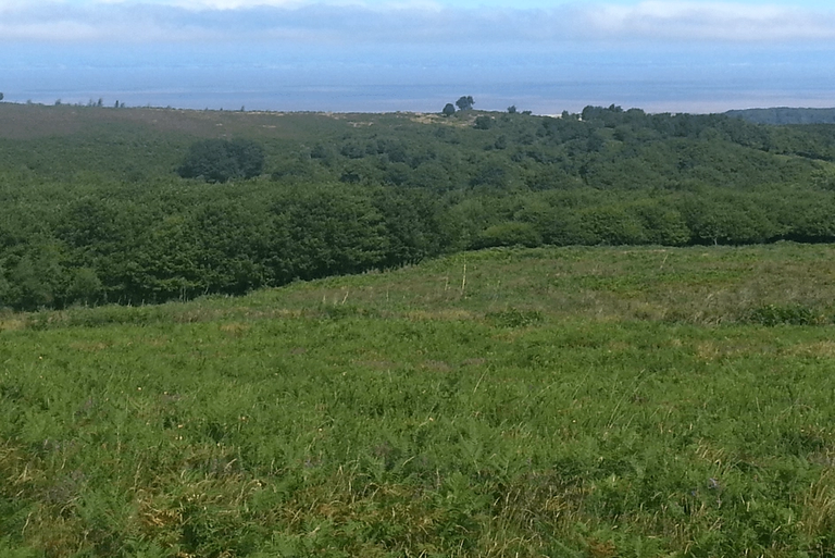 walking holidays in the UK