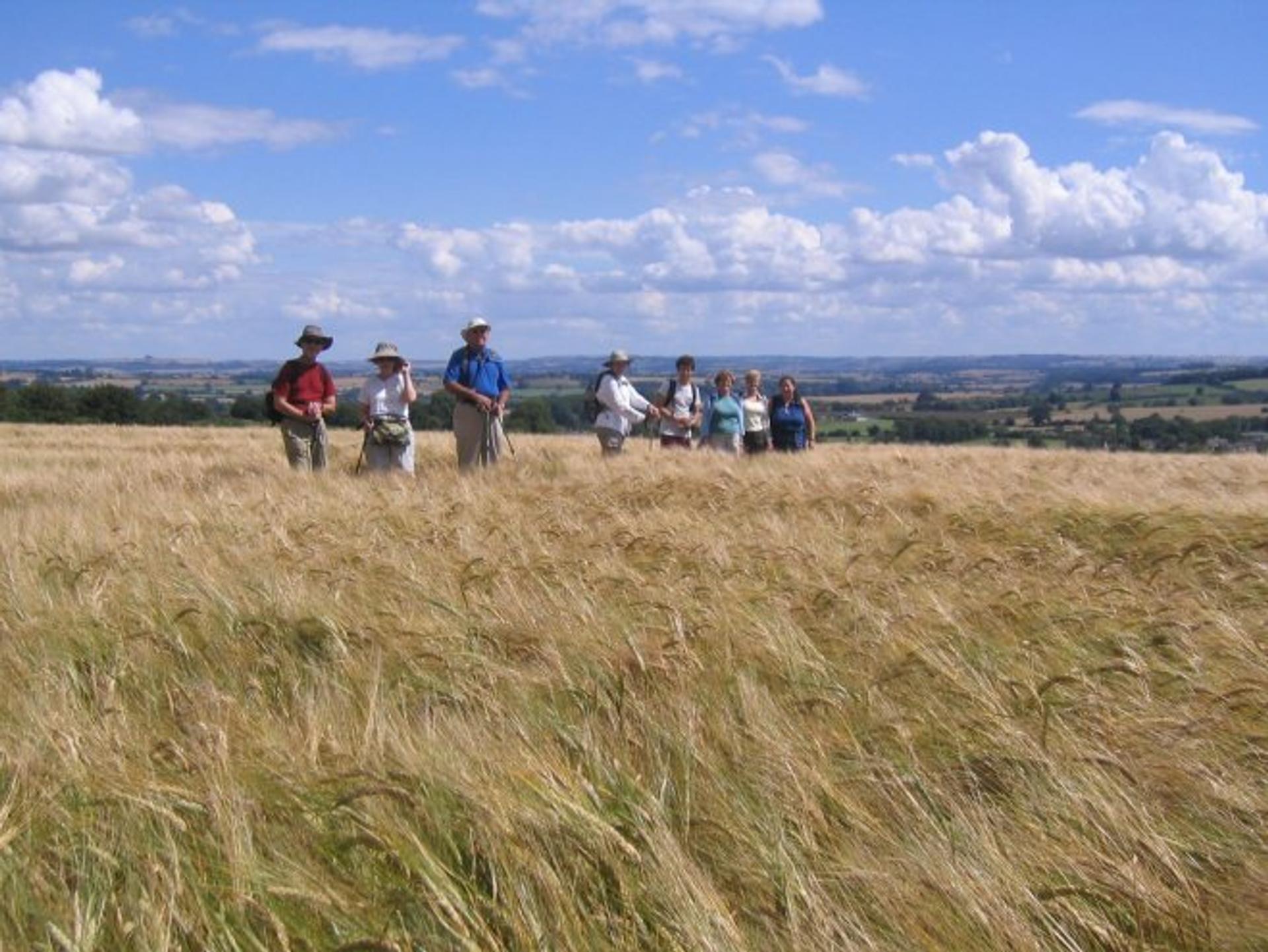 Walkers in field