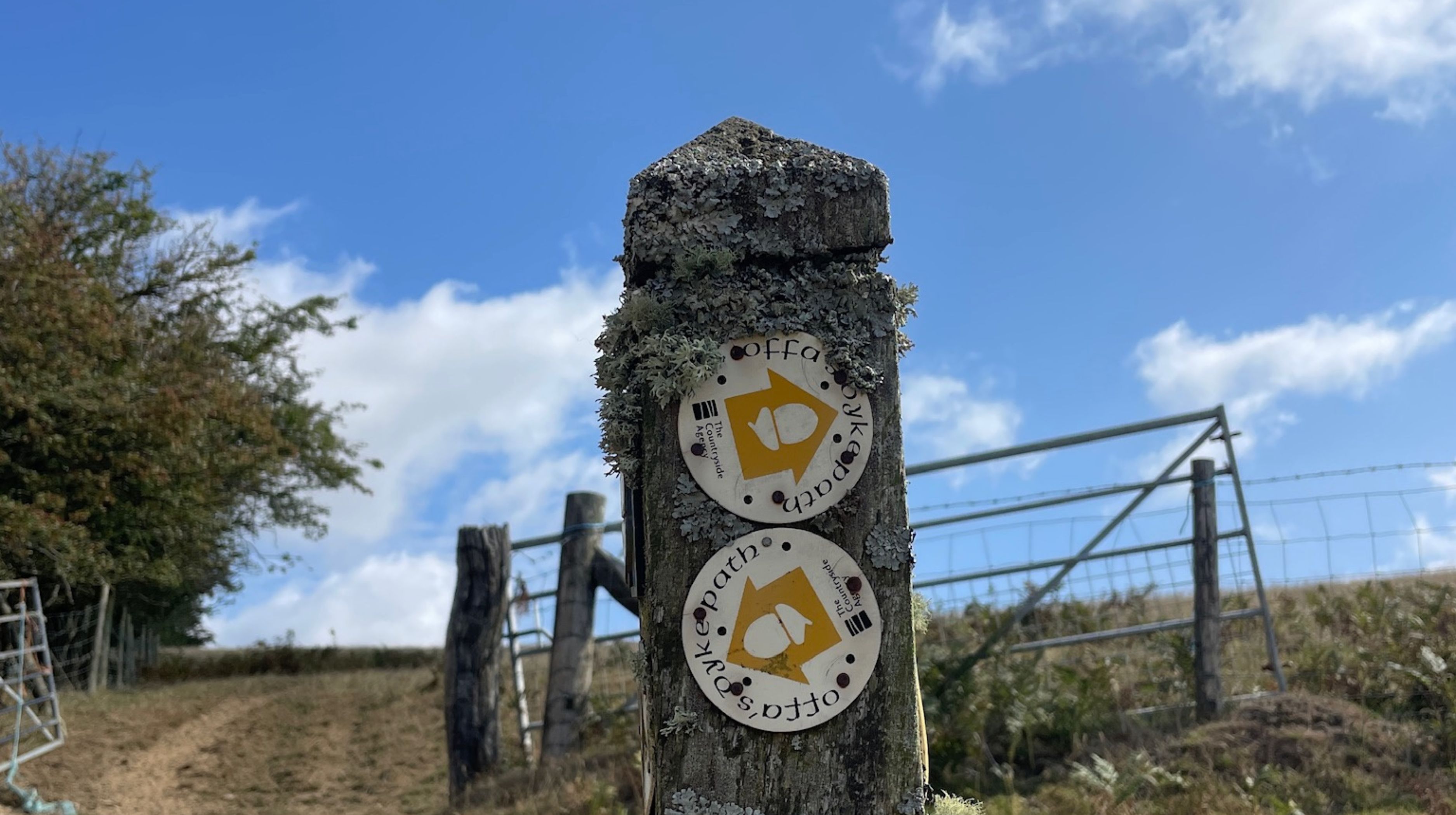 A wooden post with two circular signs indicating hiking paths, one above the other. The signs are yellow and white with acorn symbols and arrows. The post is weathered and covered in lichen. In the background, there is a metal fence, dry grass, and a blue sky with scattered clouds.