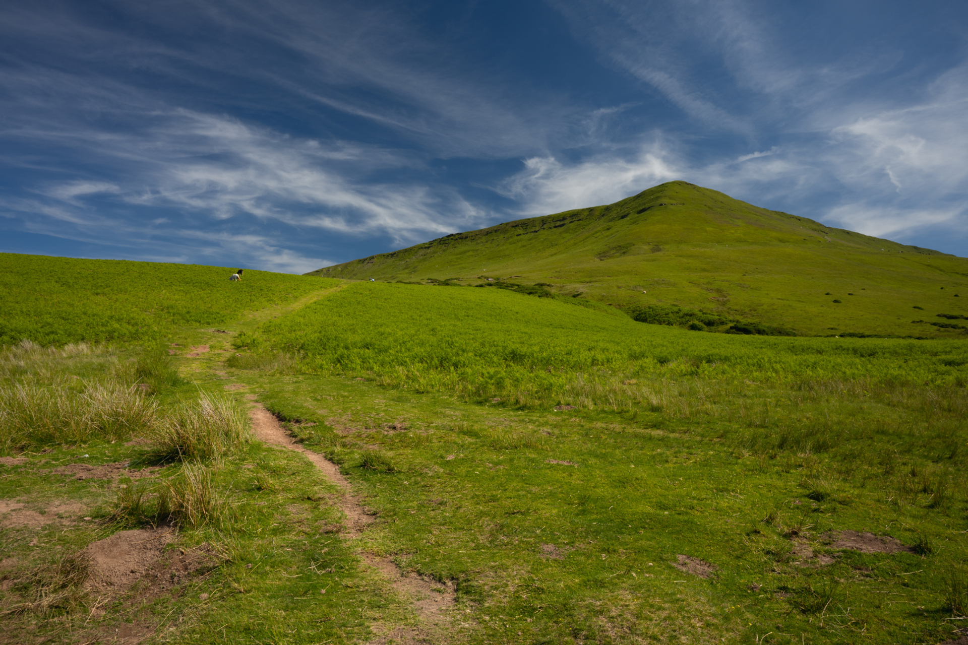 Narrow grassy footpath winding towards a rounded hill beneath a cloud-filled sky.