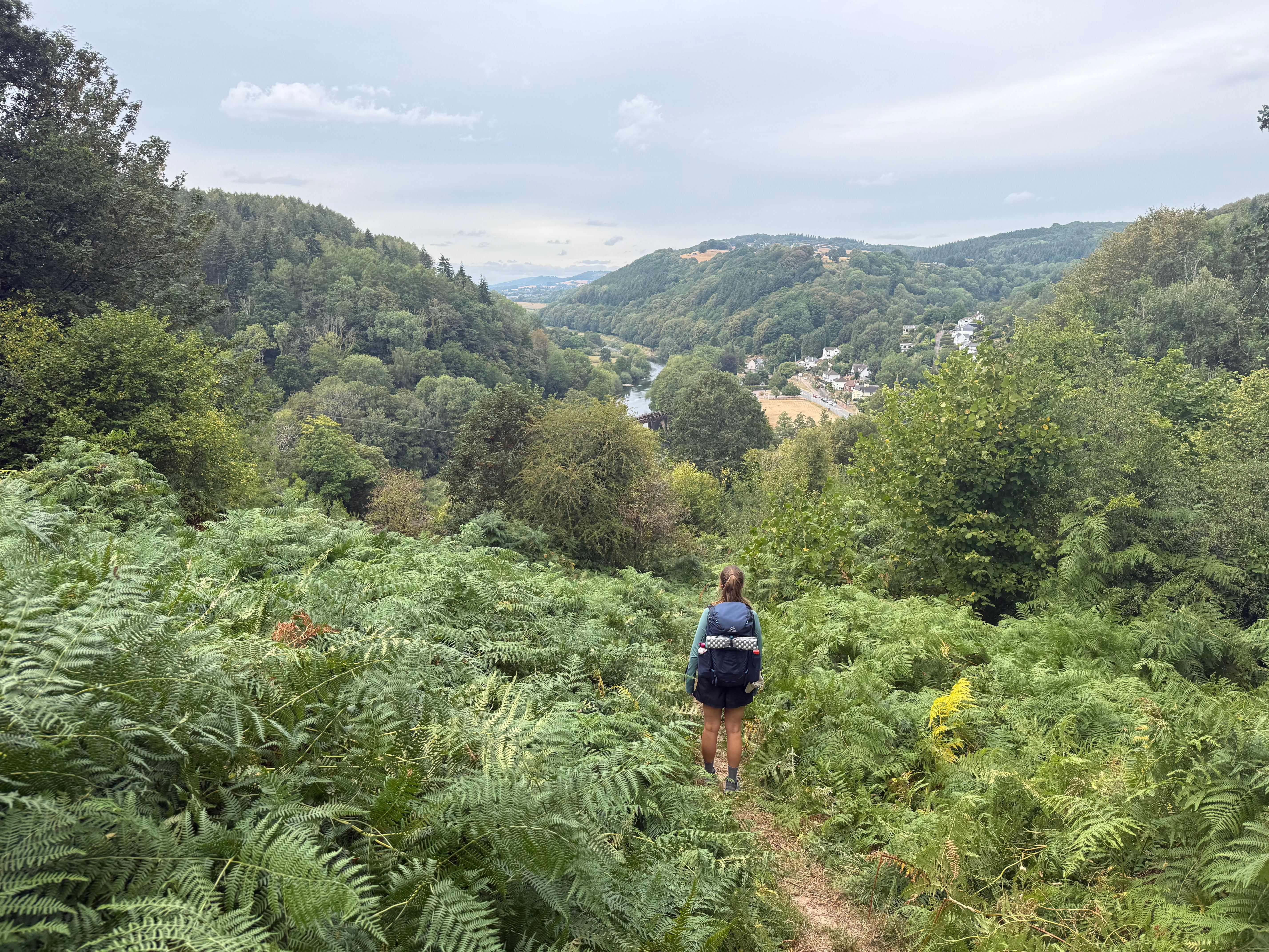 Walker descending Offa’s Dyke Path through bracken with the Wye Valley landscape ahead