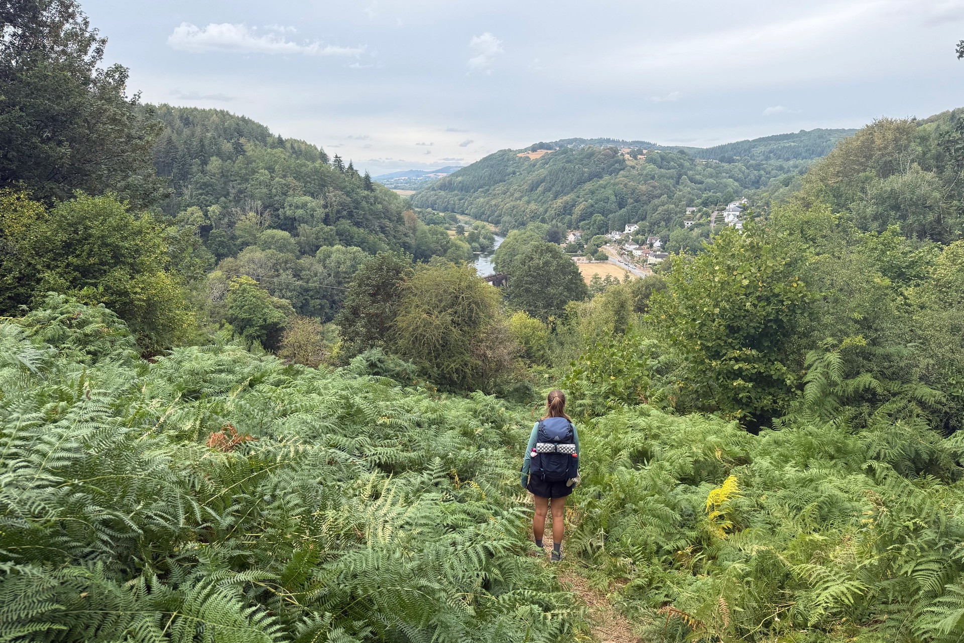 Walker descending Offa’s Dyke Path through bracken with the Wye Valley landscape ahead
