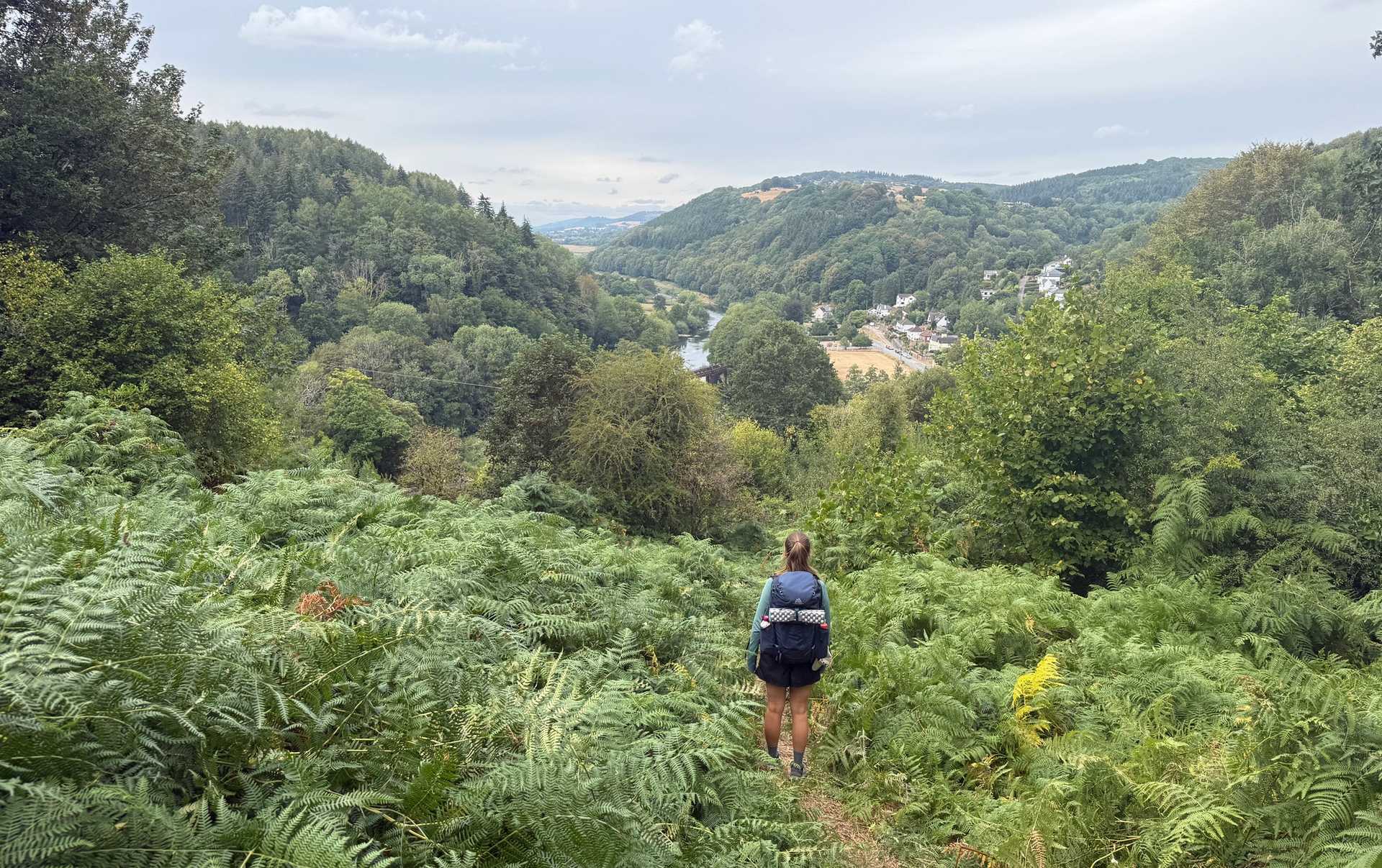 Walker descending Offa’s Dyke Path through bracken with the Wye Valley landscape ahead