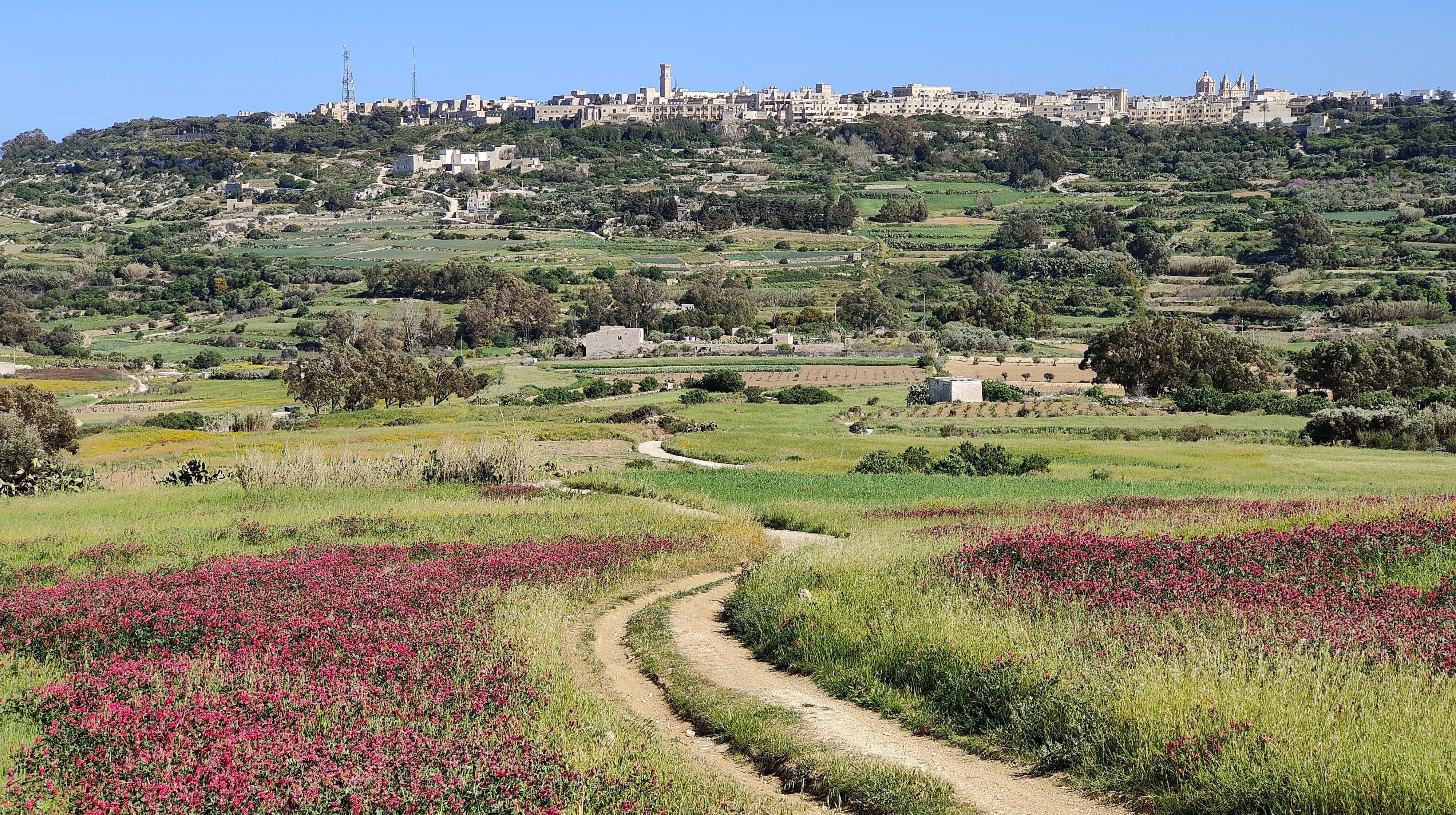 Rural Gozo landscape with terraced fields, a winding footpath, and a hilltop village.