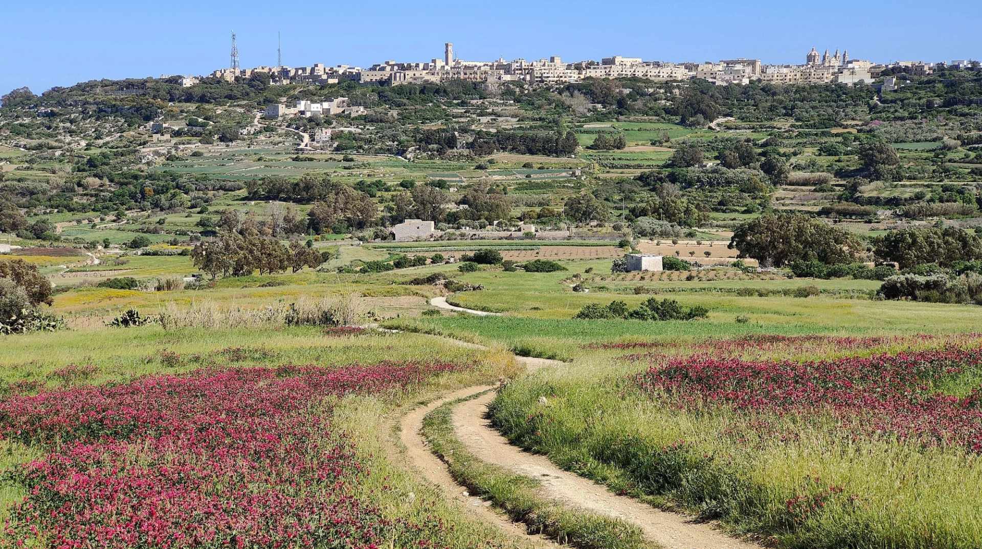 Rural Gozo landscape with terraced fields, a winding footpath, and a hilltop village.