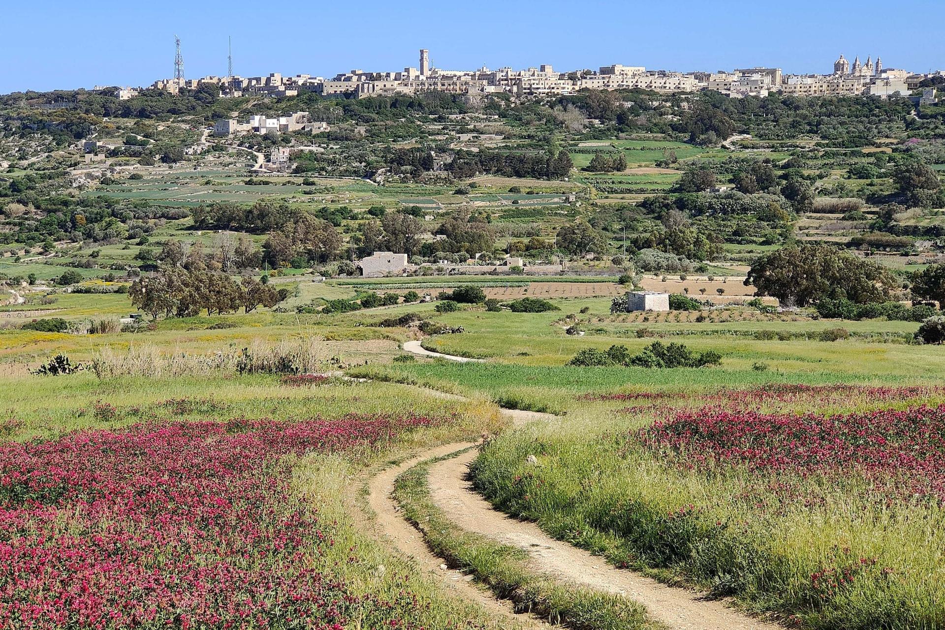 Rural Gozo landscape with terraced fields, a winding footpath, and a hilltop village.