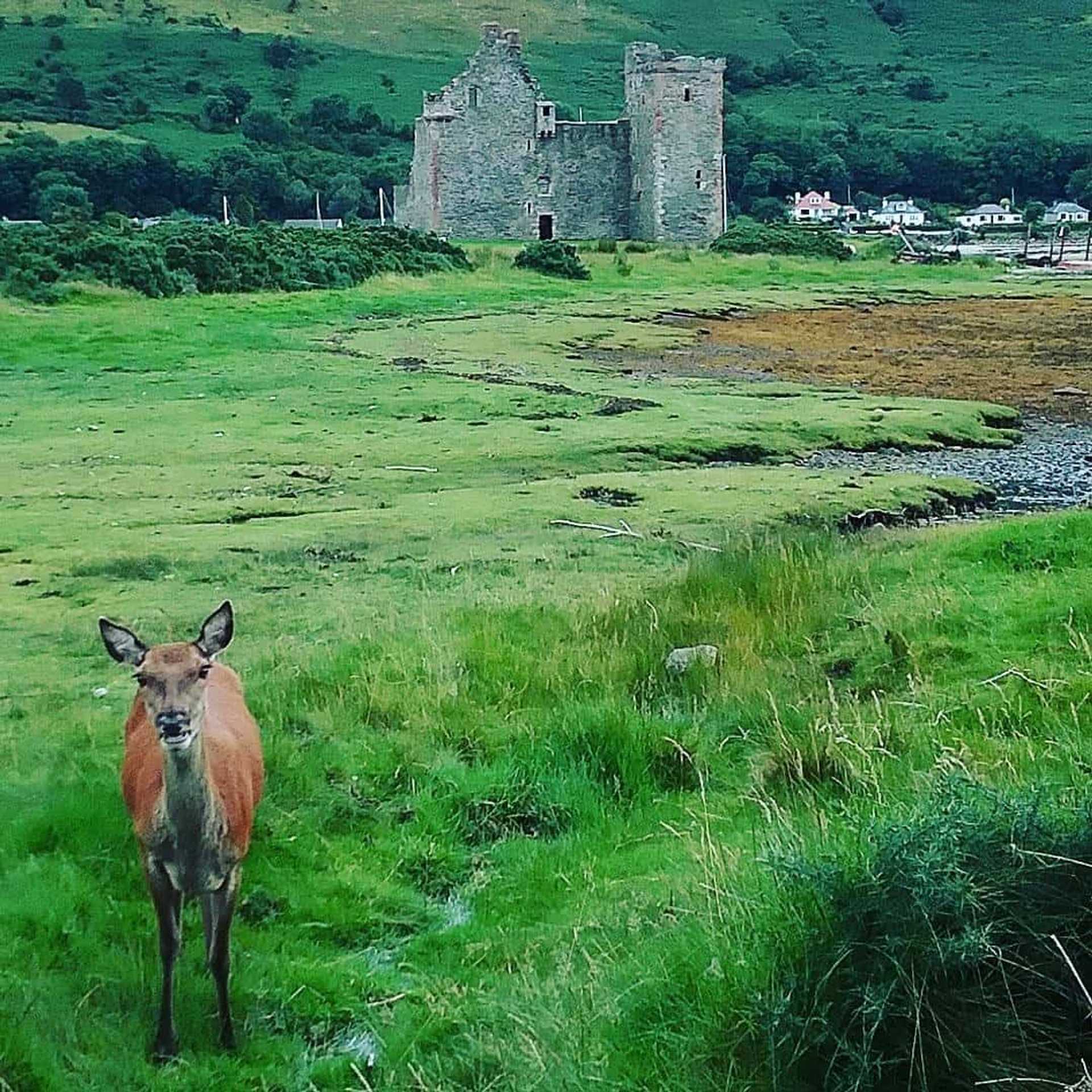 Lochranza