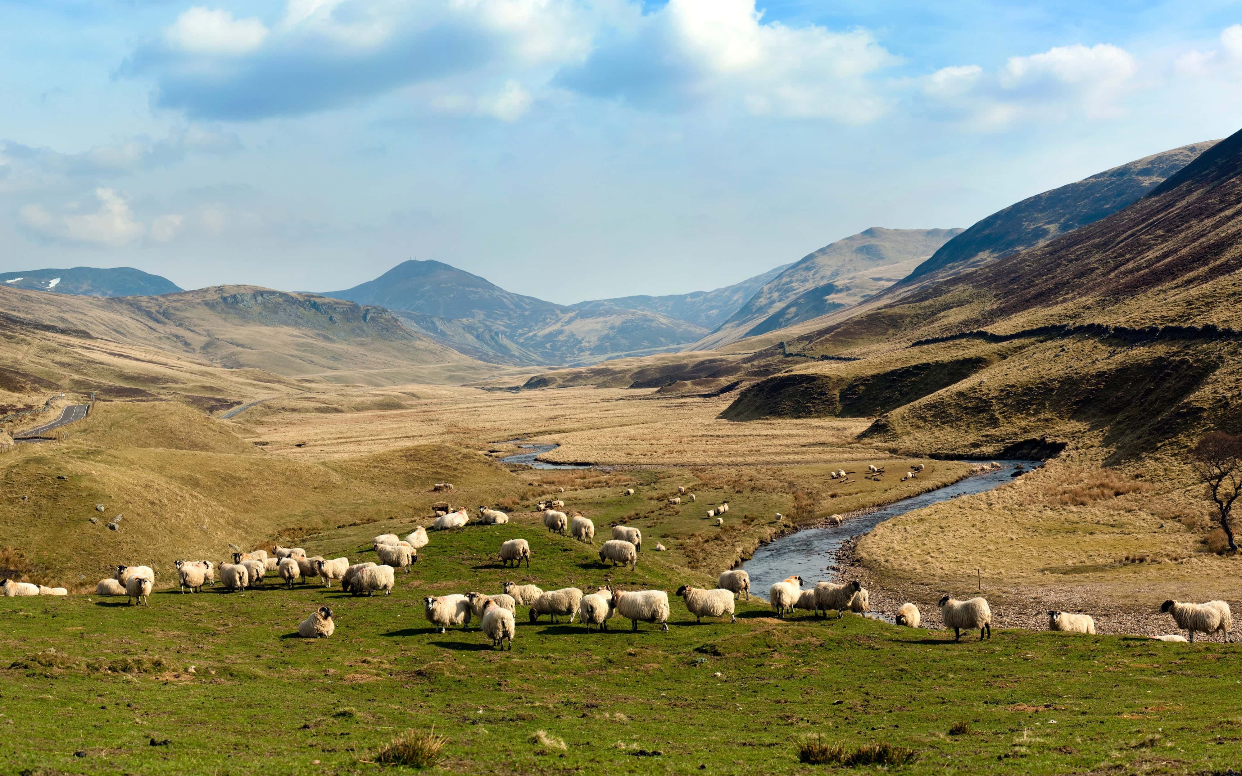 Glen Shee on the Braemar to Spittal of Glenshee Road
