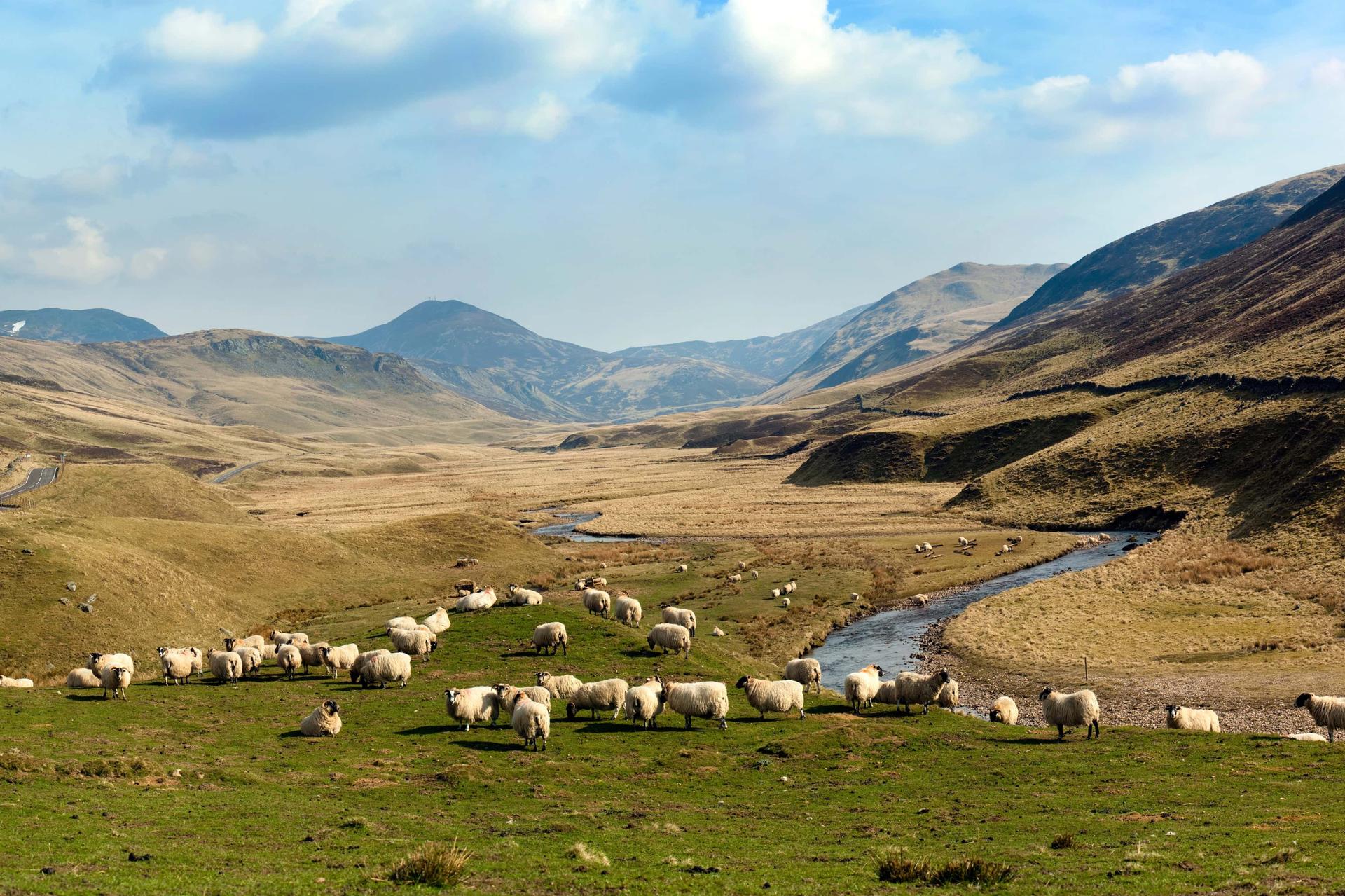 Glen Shee on the Braemar to Spittal of Glenshee Road