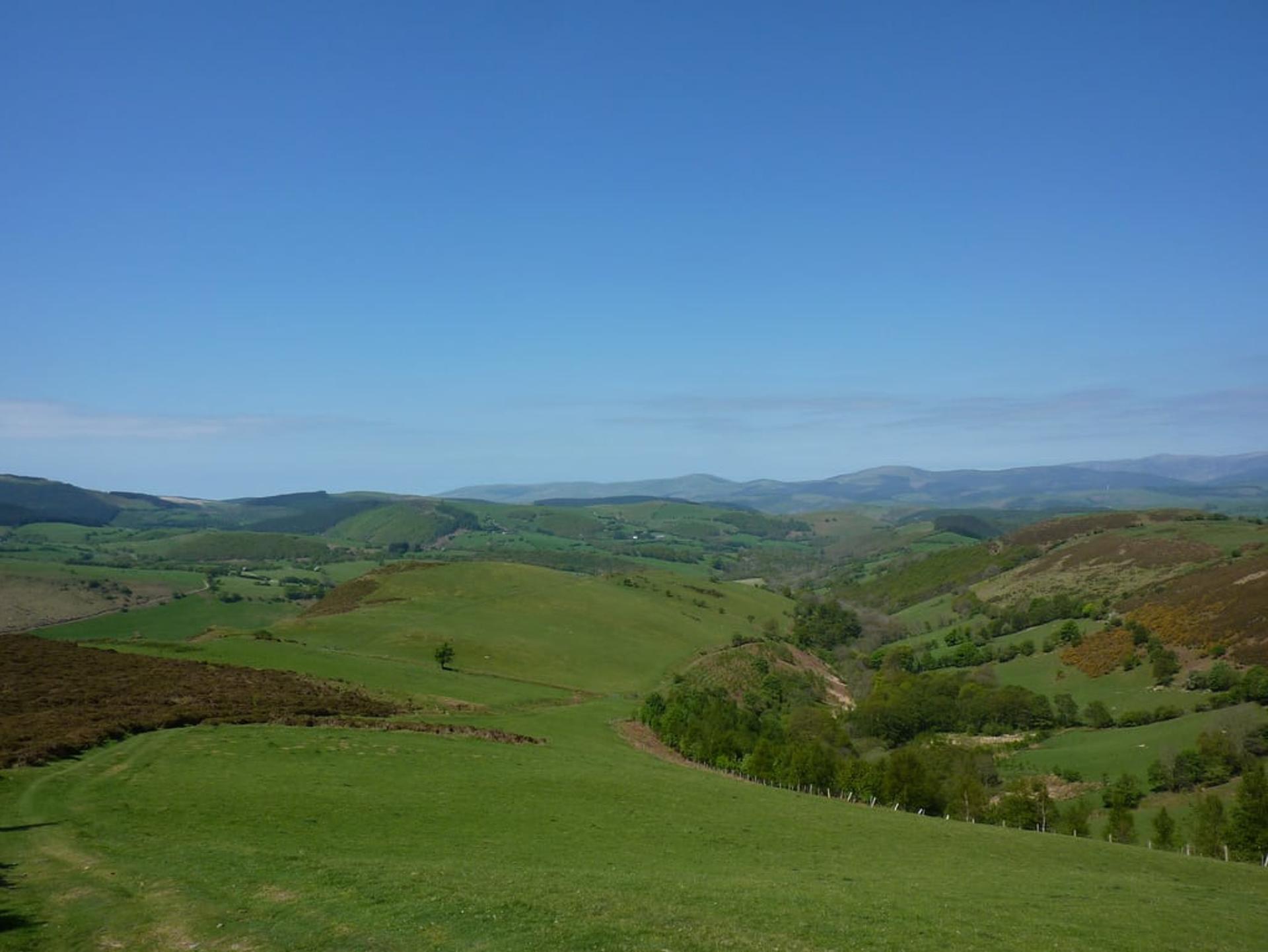 Foel Fadian on the Glyndŵr's Way