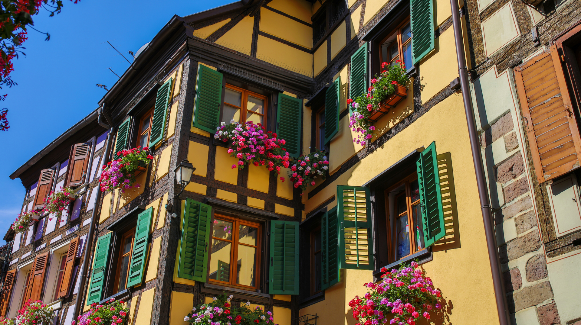 Flower-filled half-timbered houses in Ribeauvillé