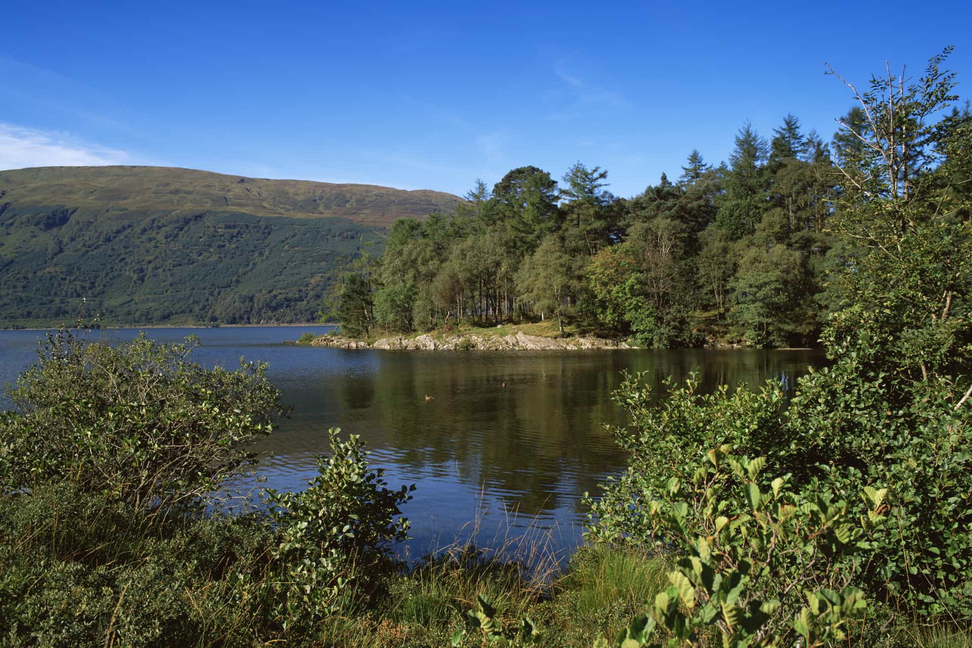 Wooded island on Loch Lomond with Highland hills beyond