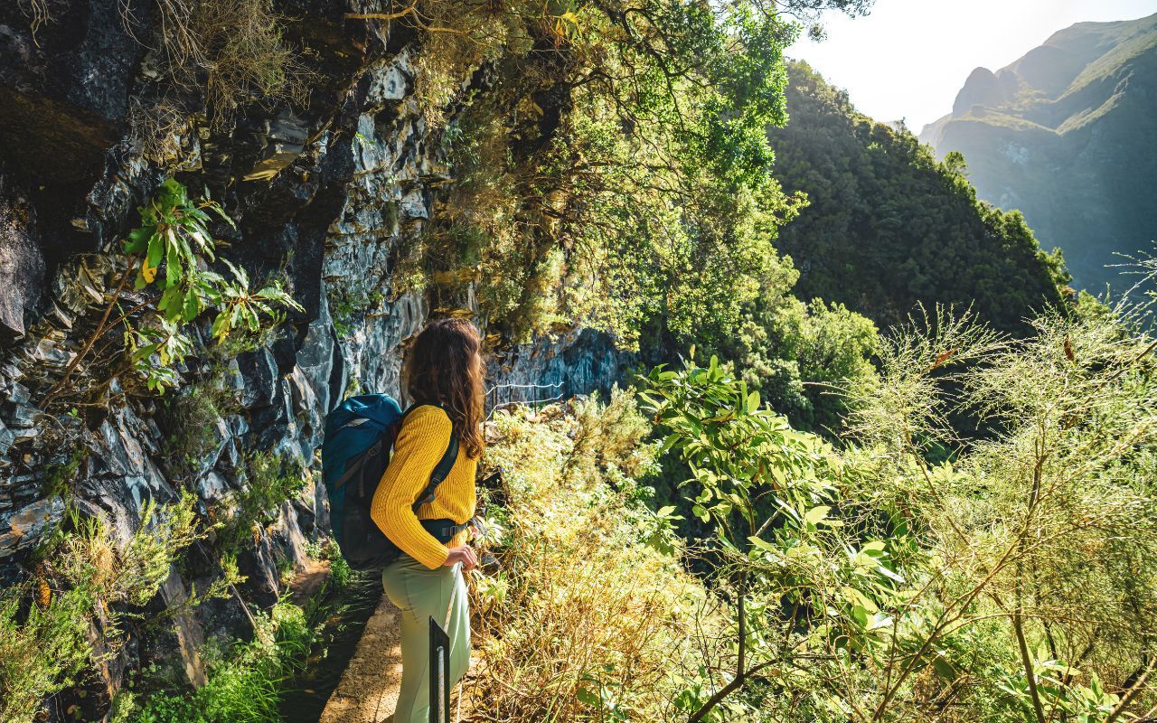 Walker following a levada path through Madeira's lush laurel forest