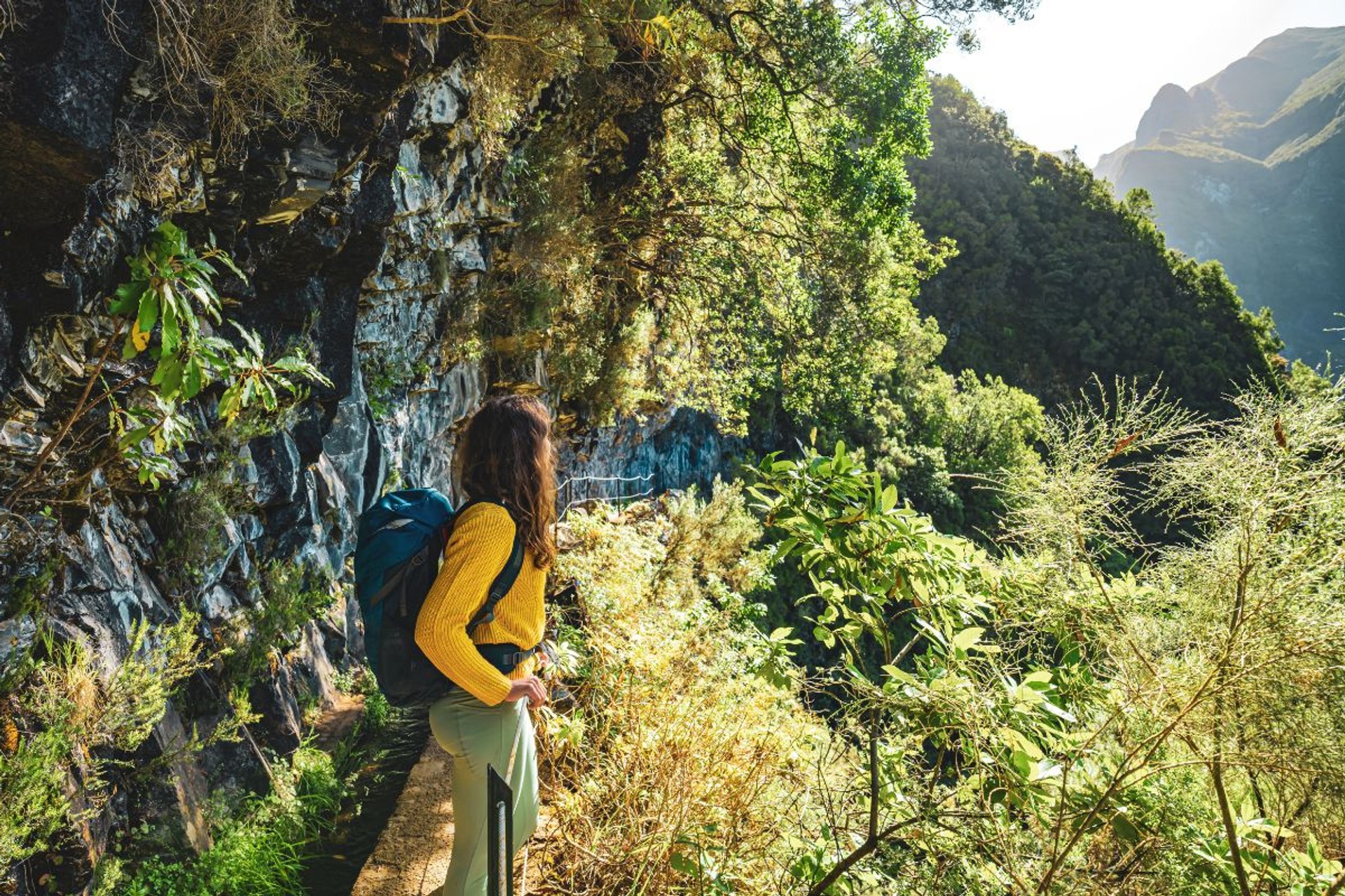 Walker following a levada path through Madeira's lush laurel forest