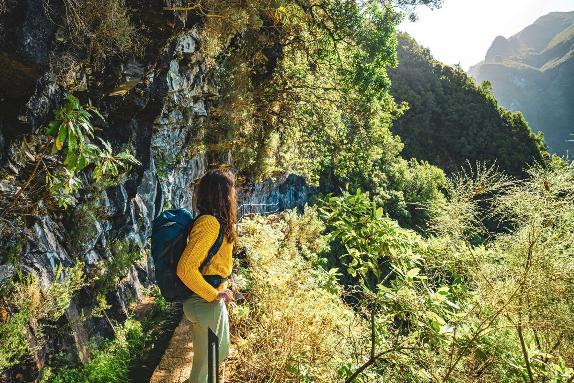 Walker following a levada path through Madeira's lush laurel forest