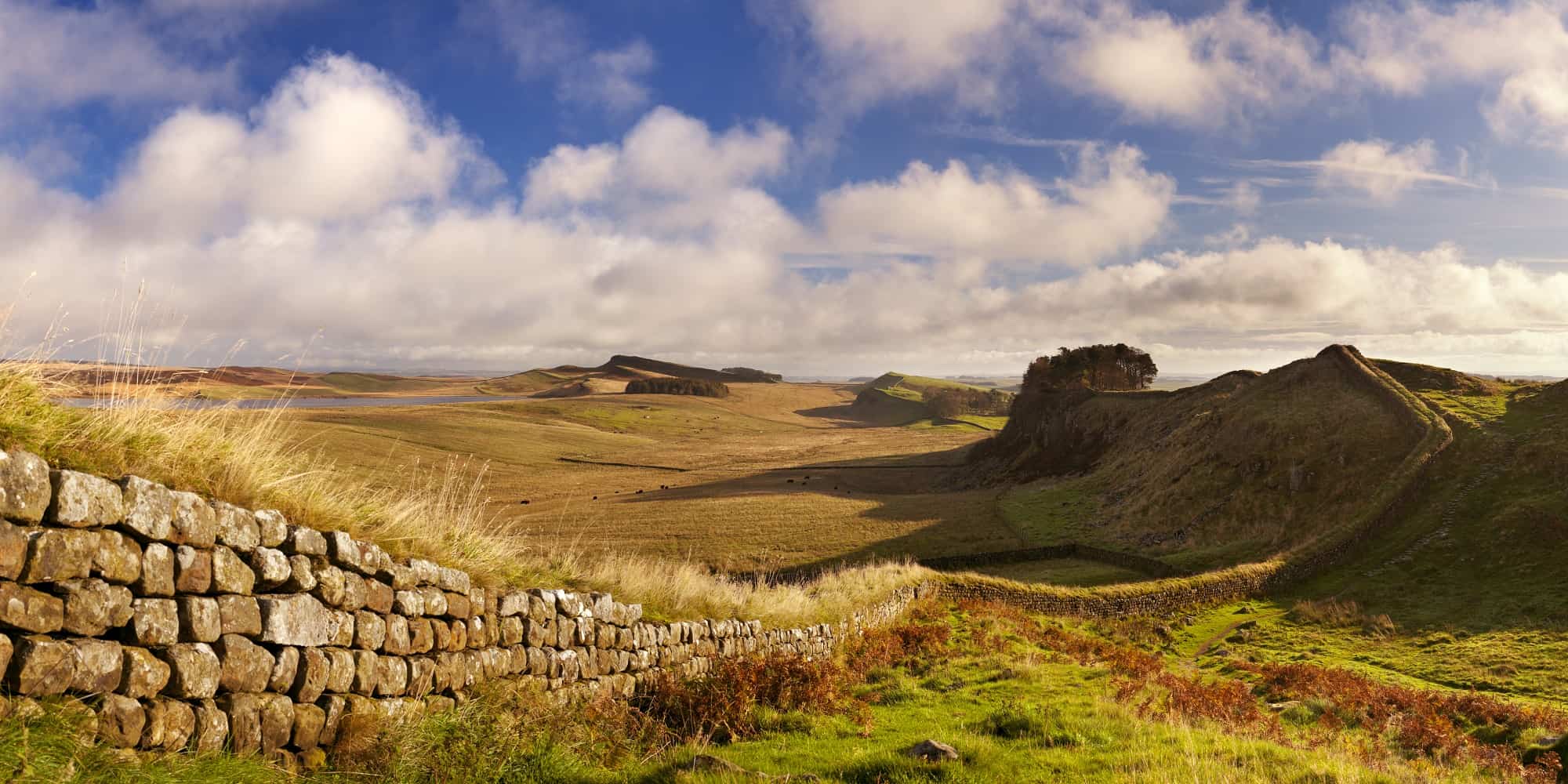 Hadrian’s Wall winding across the Whin Sill ridge in Northumberland countryside