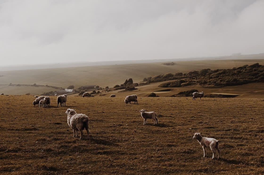English Landscape