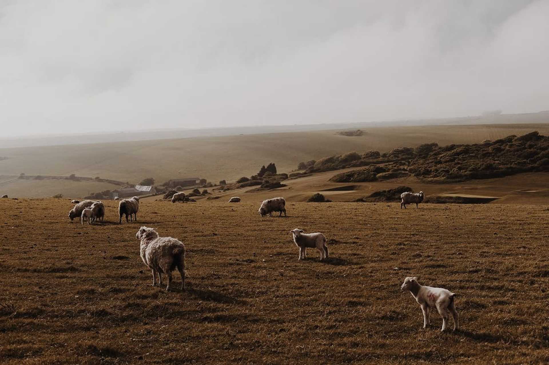 English Landscape