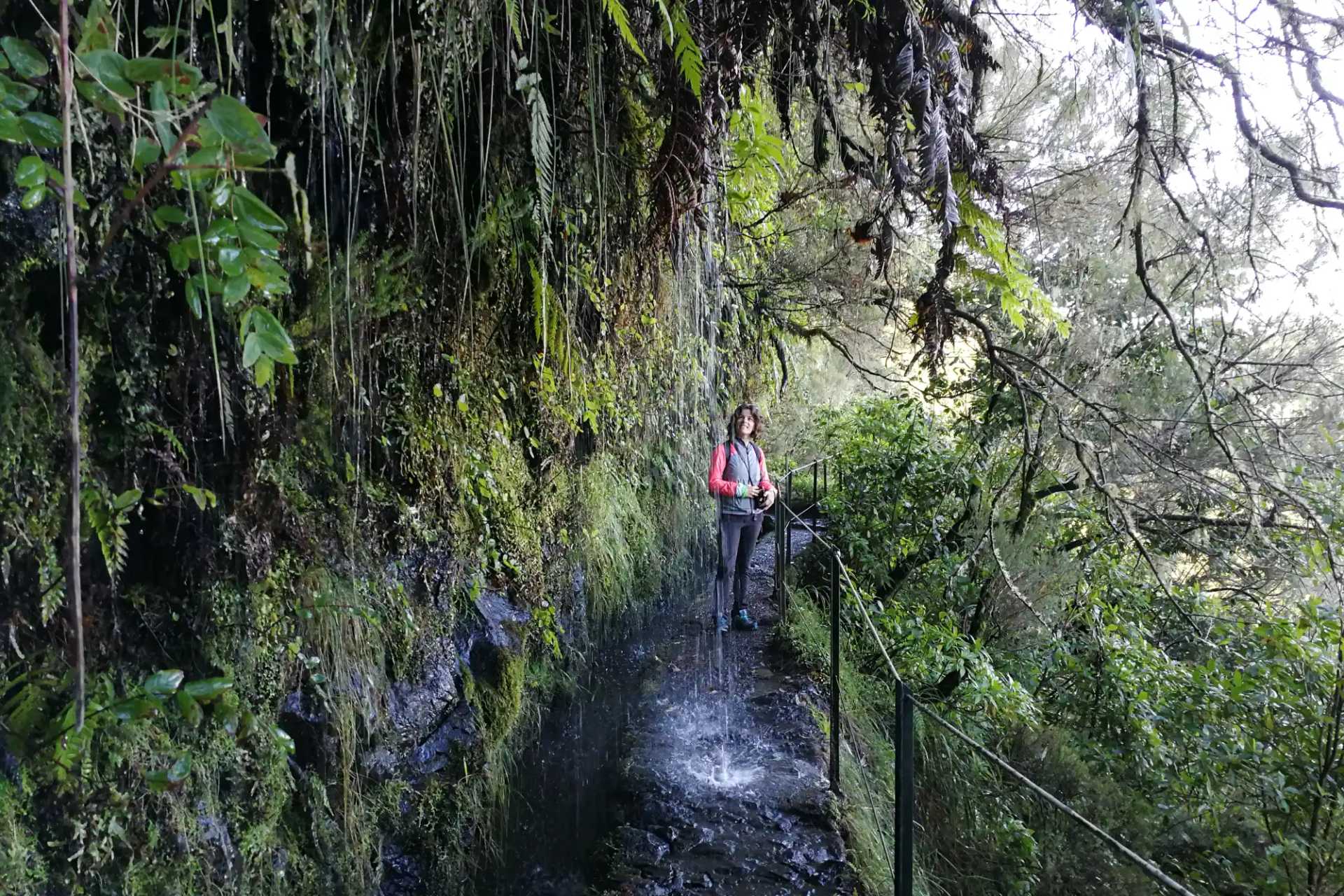 Walker following a levada path beneath cascading water in Madeira's Laurissilva Forest.