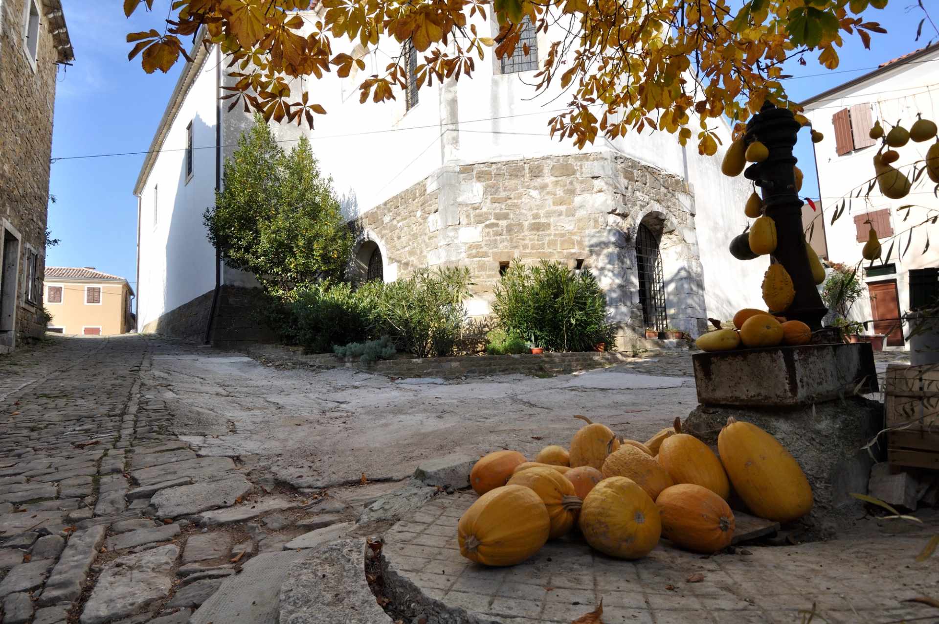 Hand-Picked Accommodation: Comfort Along the Way