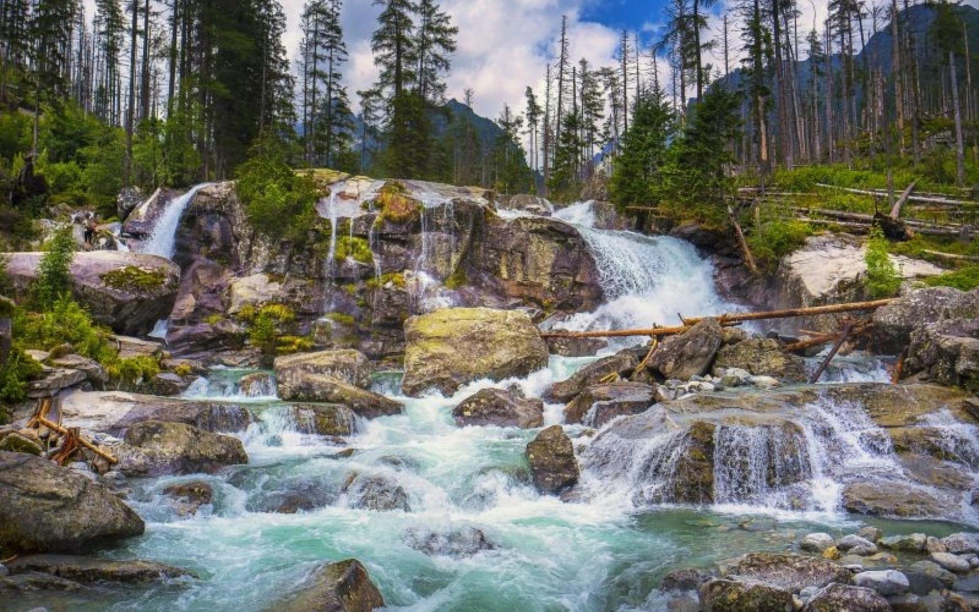 Skok Waterfall cascading through forest and rocks in the High Tatras