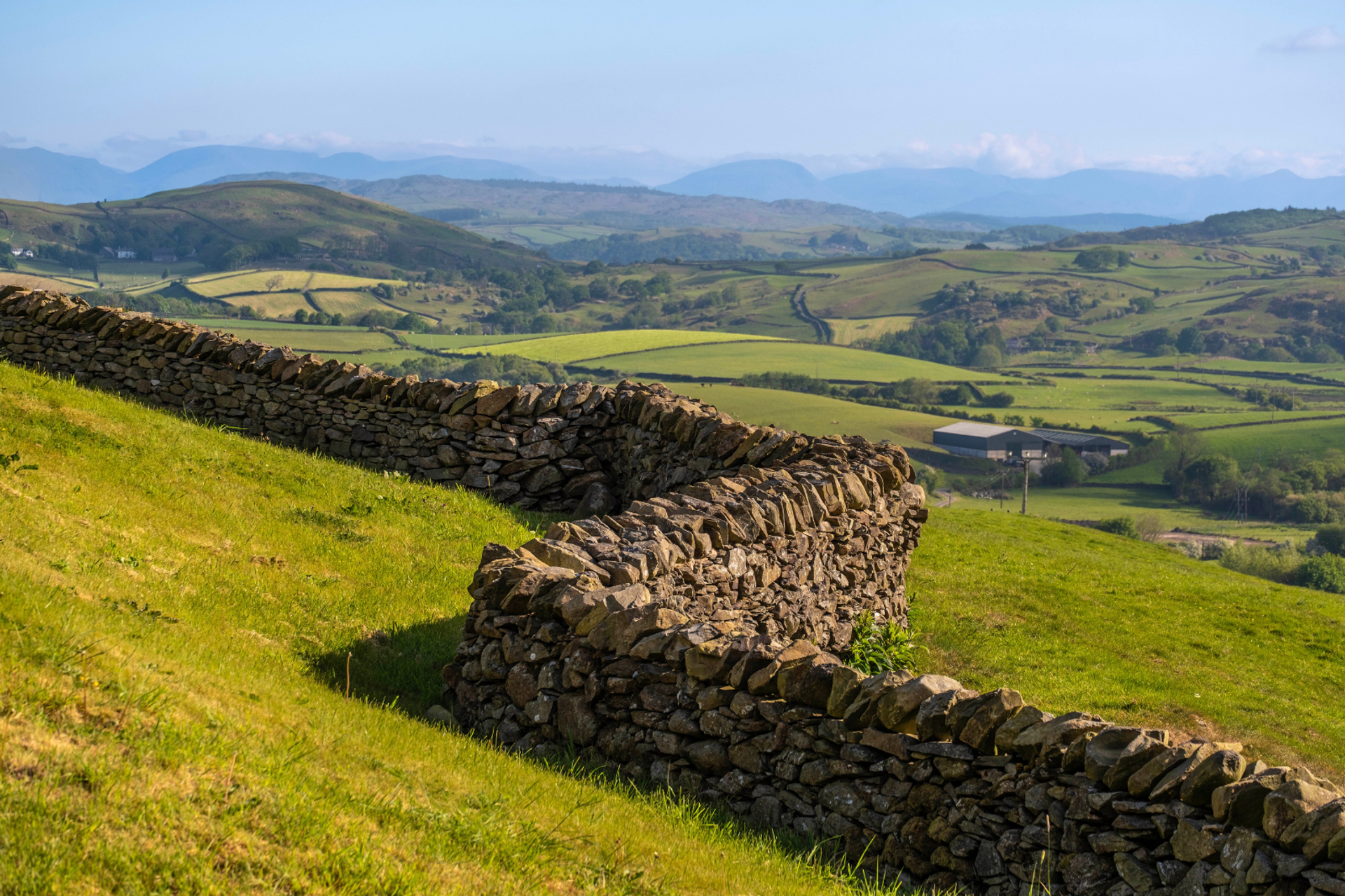 Dry-stone walls crossing green farmland on the southern Cumbria Way.