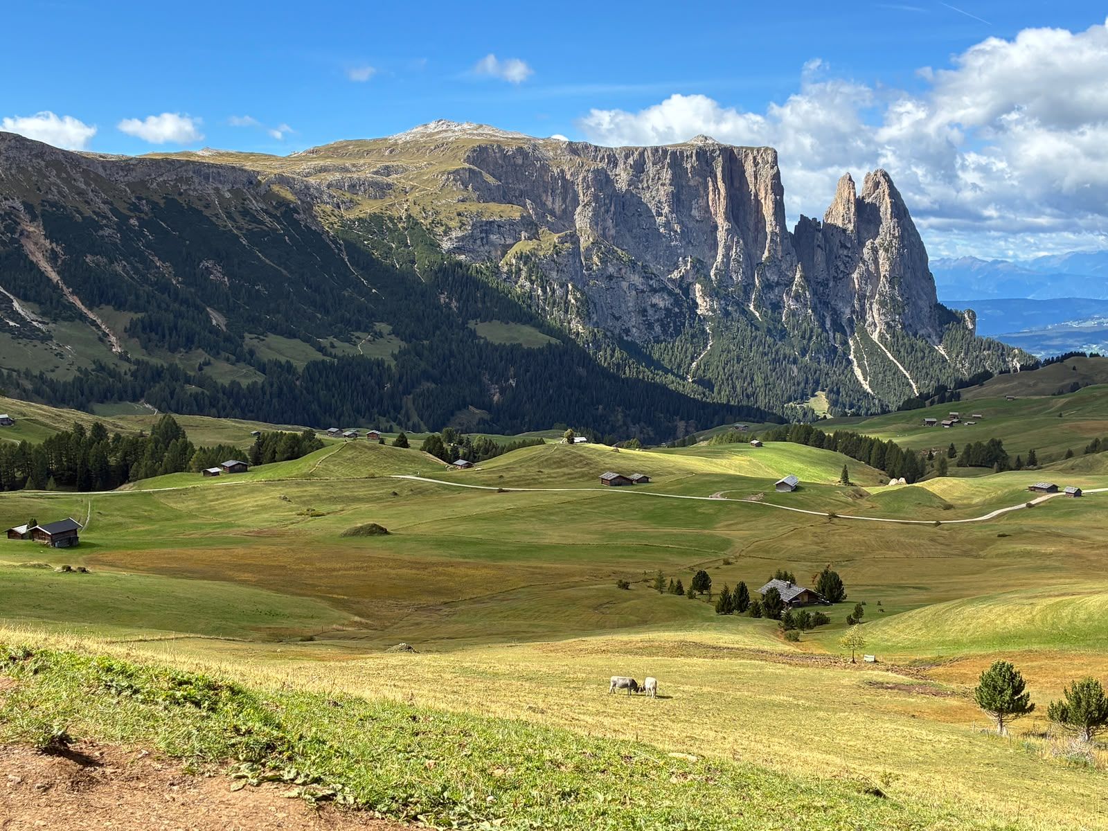 Alpe di Siusi meadows below the Sciliar massif in the Dolomites, South Tyrol.