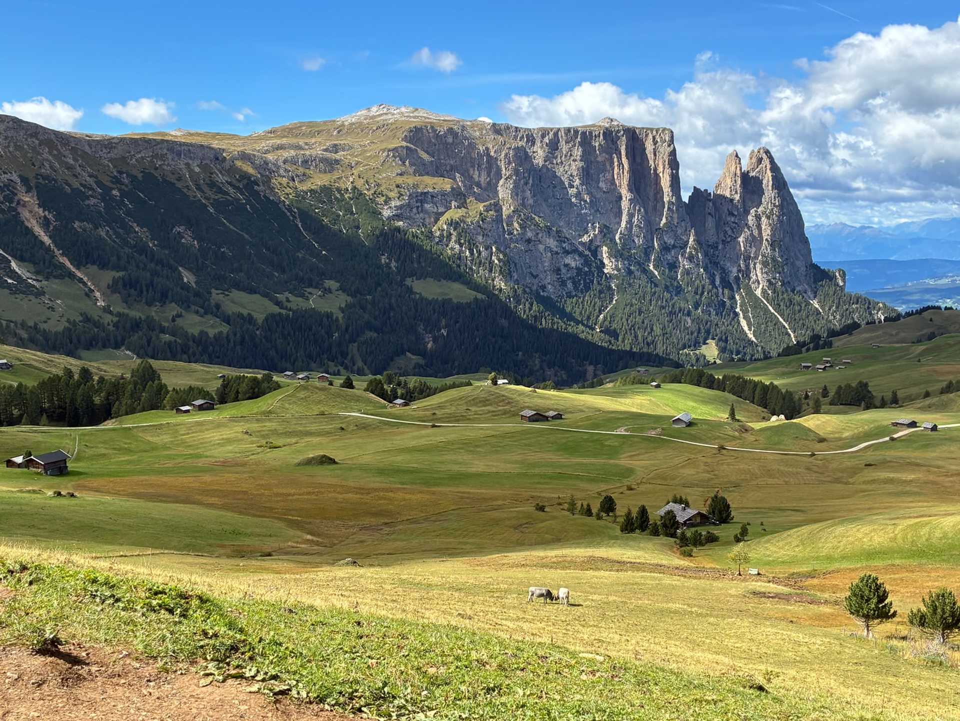 Alpe di Siusi meadows below the Sciliar massif in the Dolomites, South Tyrol.