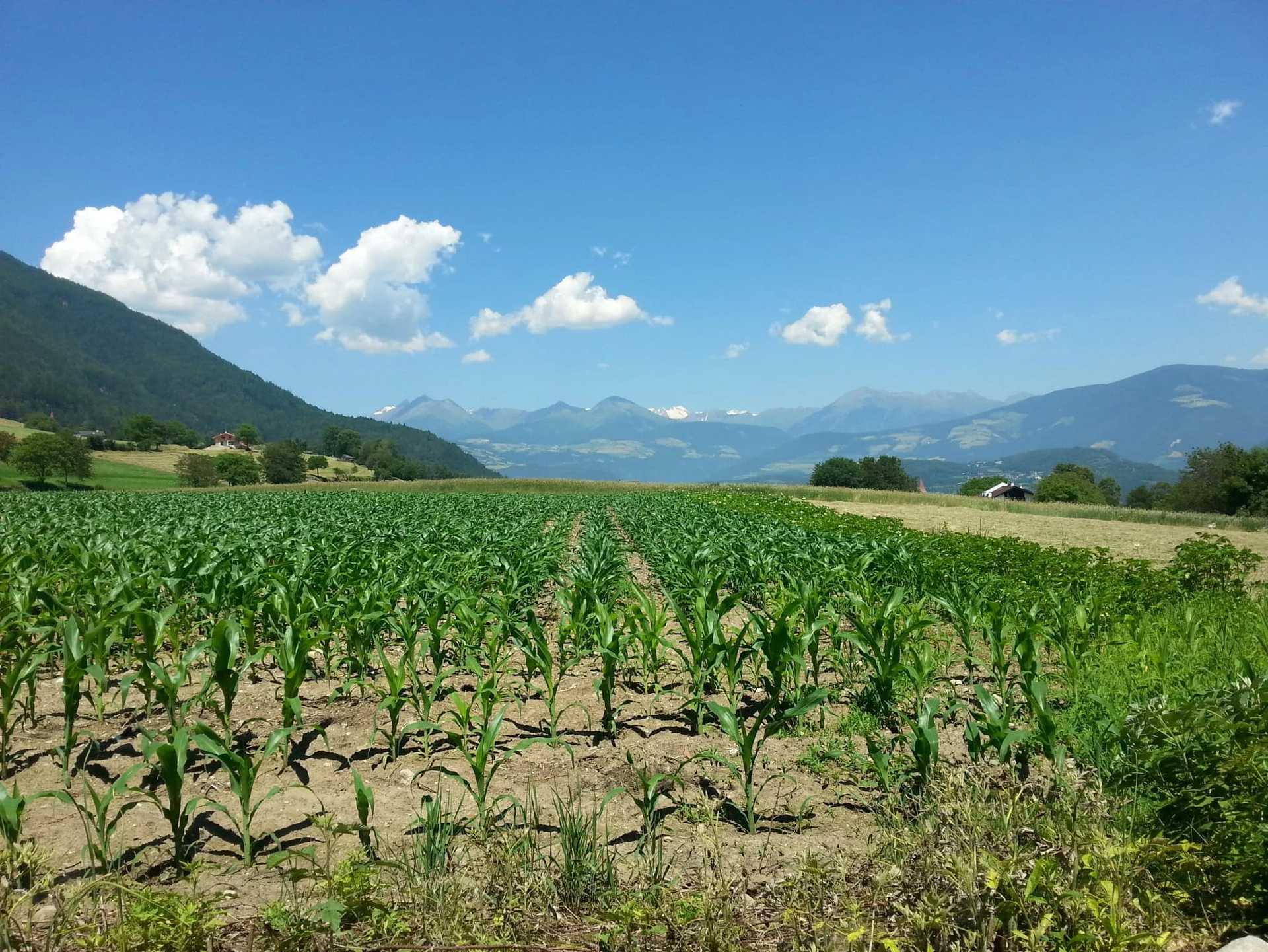 Farmland and mountain views along the Chestnut Route in South Tyrol.