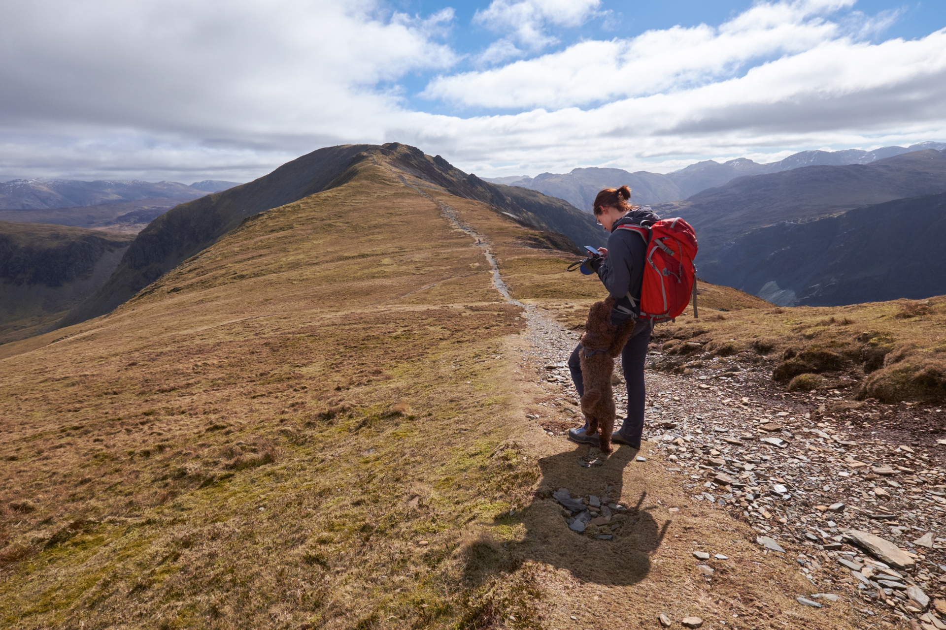 Solo hiker checking phone for navigation on a mountain path