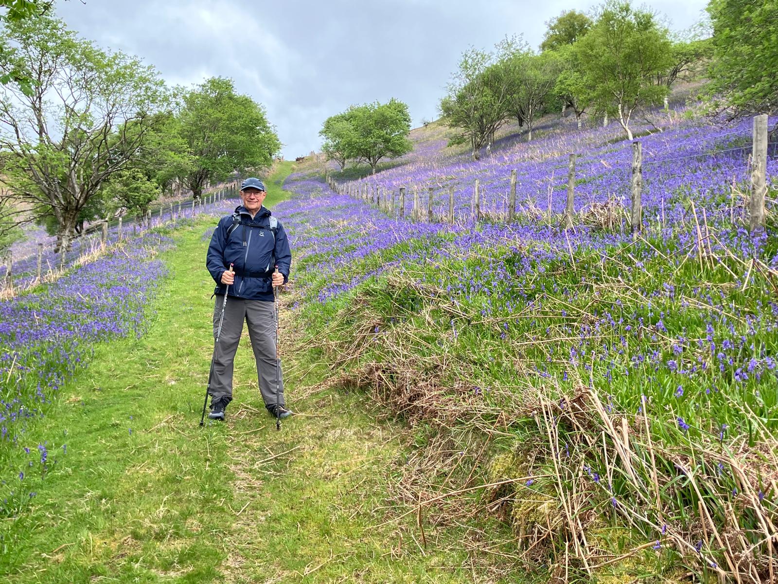 Bluebells along Offa's Dyke Path