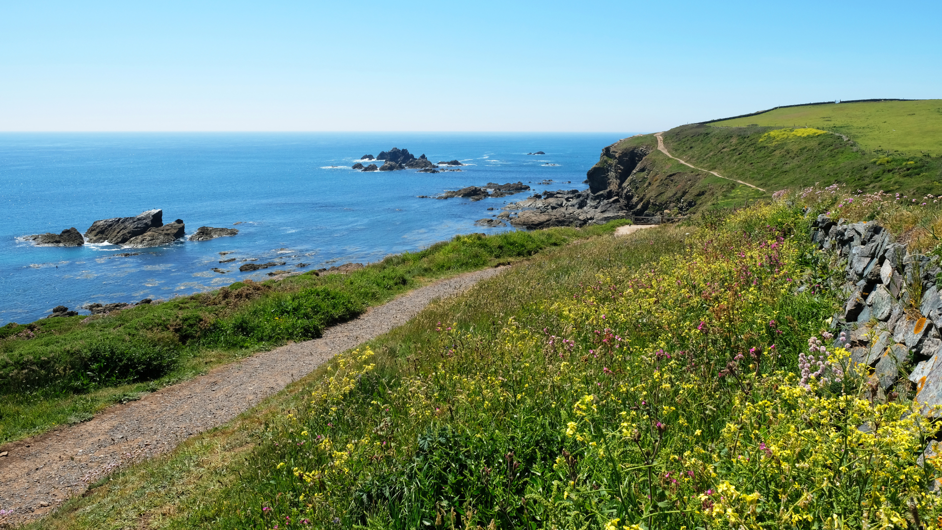 Spring flowers on the Isle of Wight coastal path