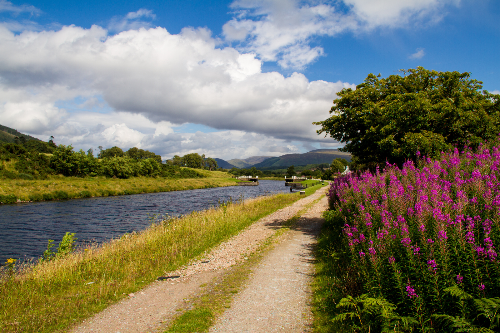 Canal-side path on the Great Glen Way with wildflowers and Highland hills.