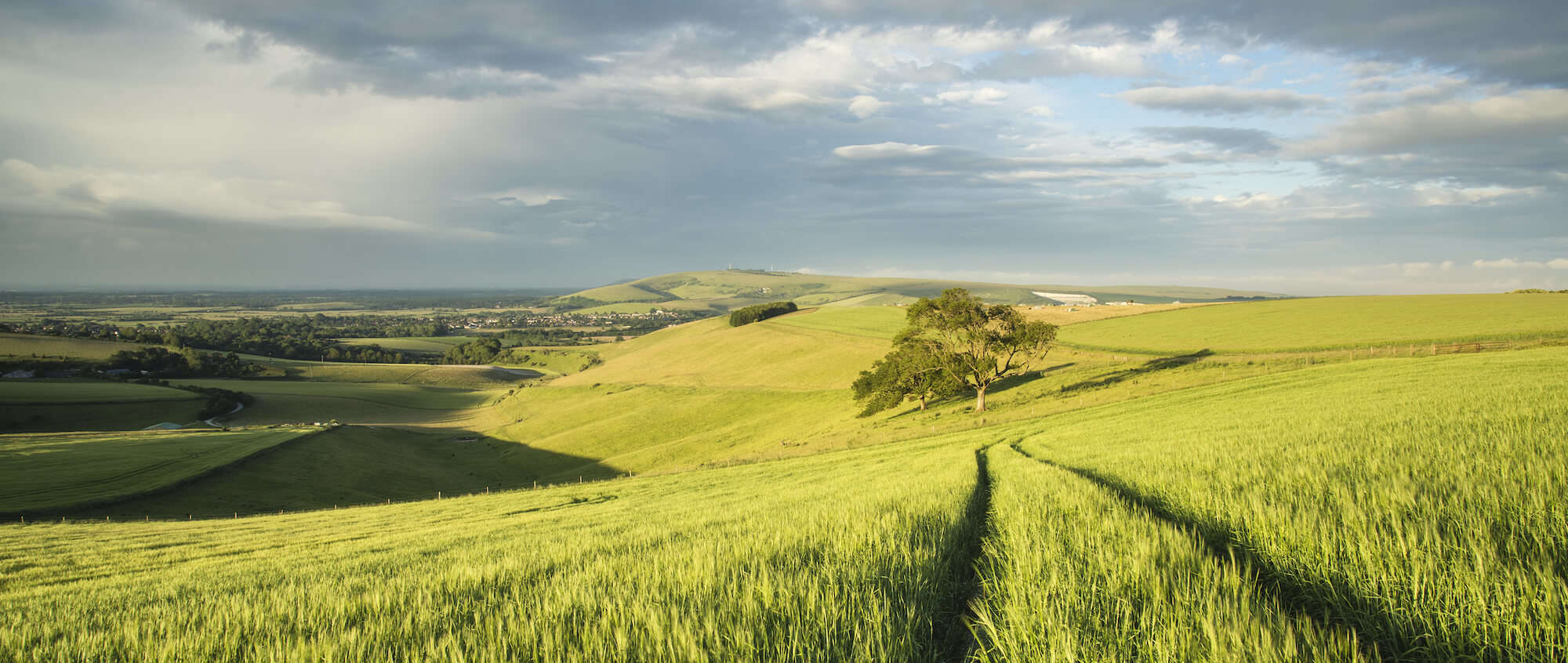 South Downs Way Walking Holidays