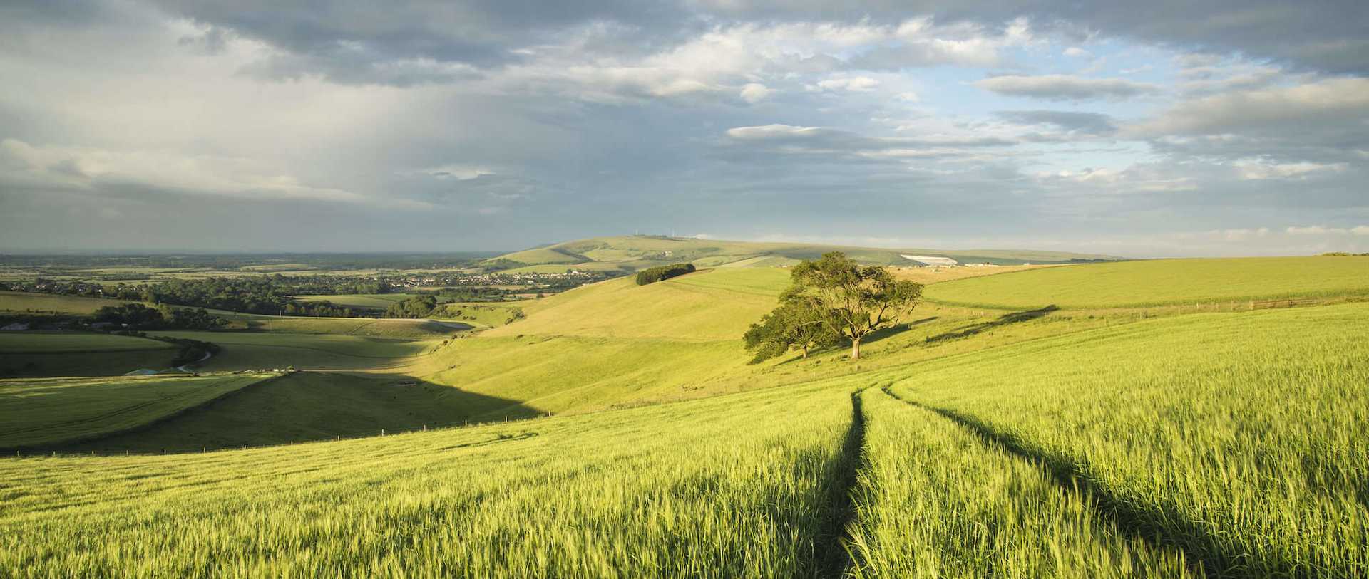 South Downs Way Walking Holidays