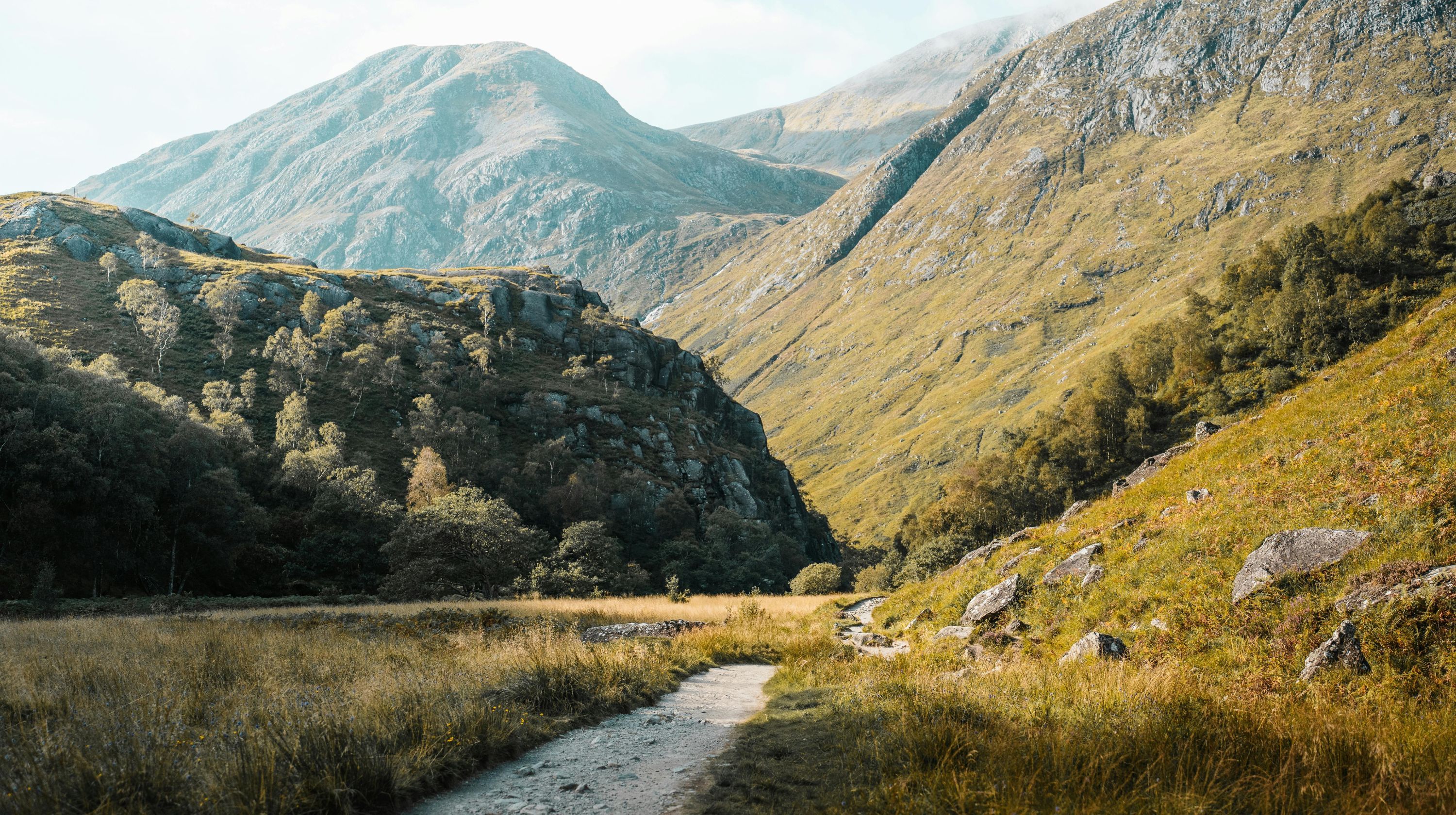 A dirt path winds through a valley with grassy hills and trees, leading towards distant mountains under a hazy sky.