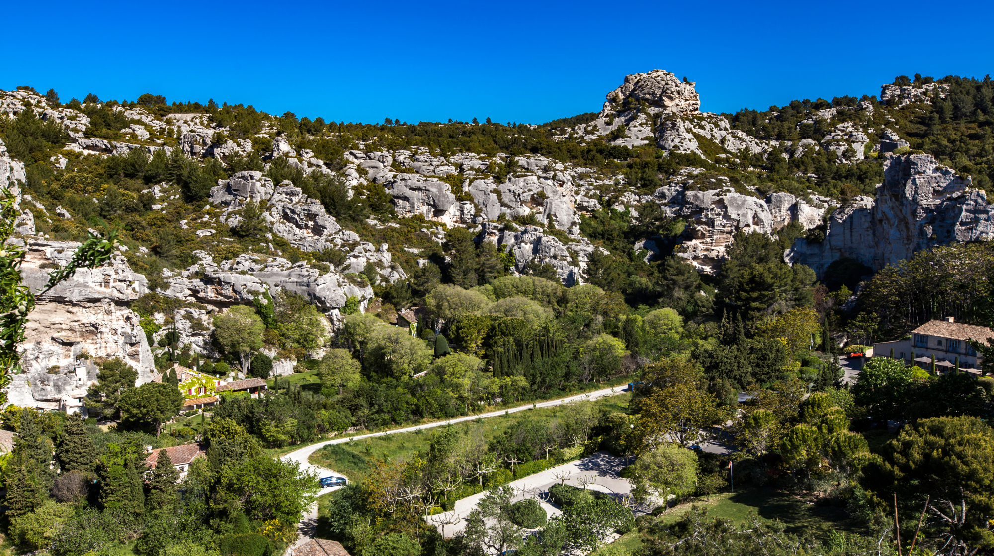 Limestone ridges and wooded slopes of the Alpilles in Provence